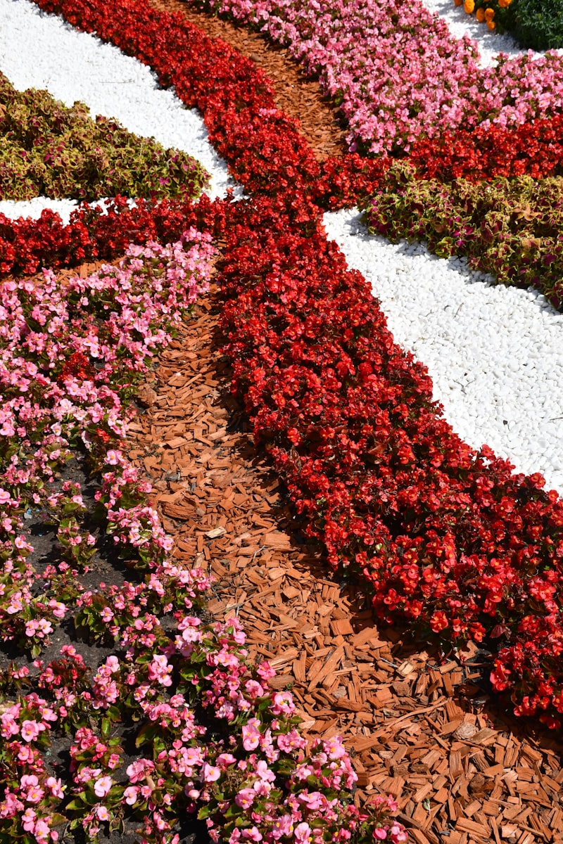 Landscaped beds with gravel and planting detail