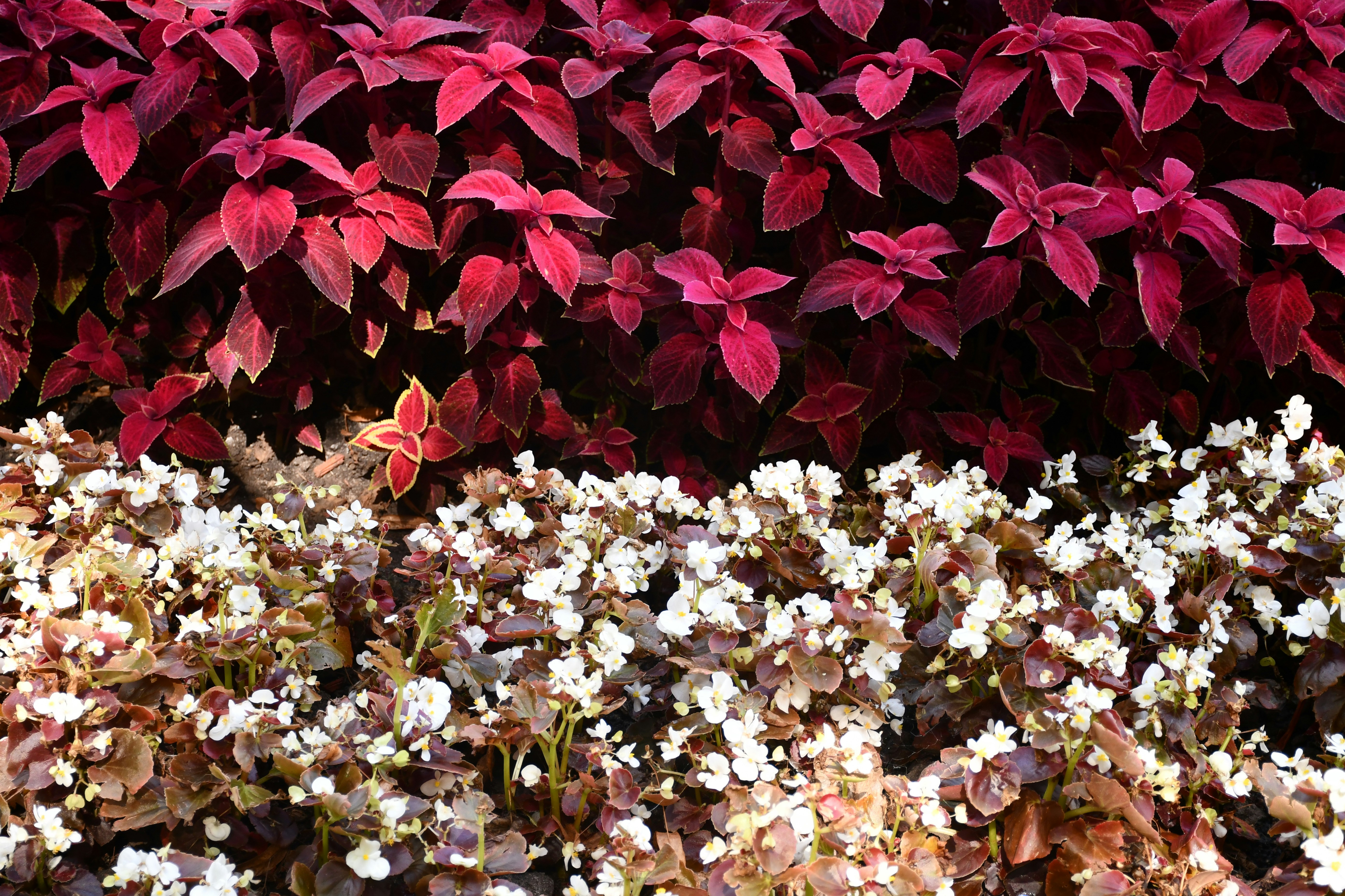 Photo by anna_kharkivska