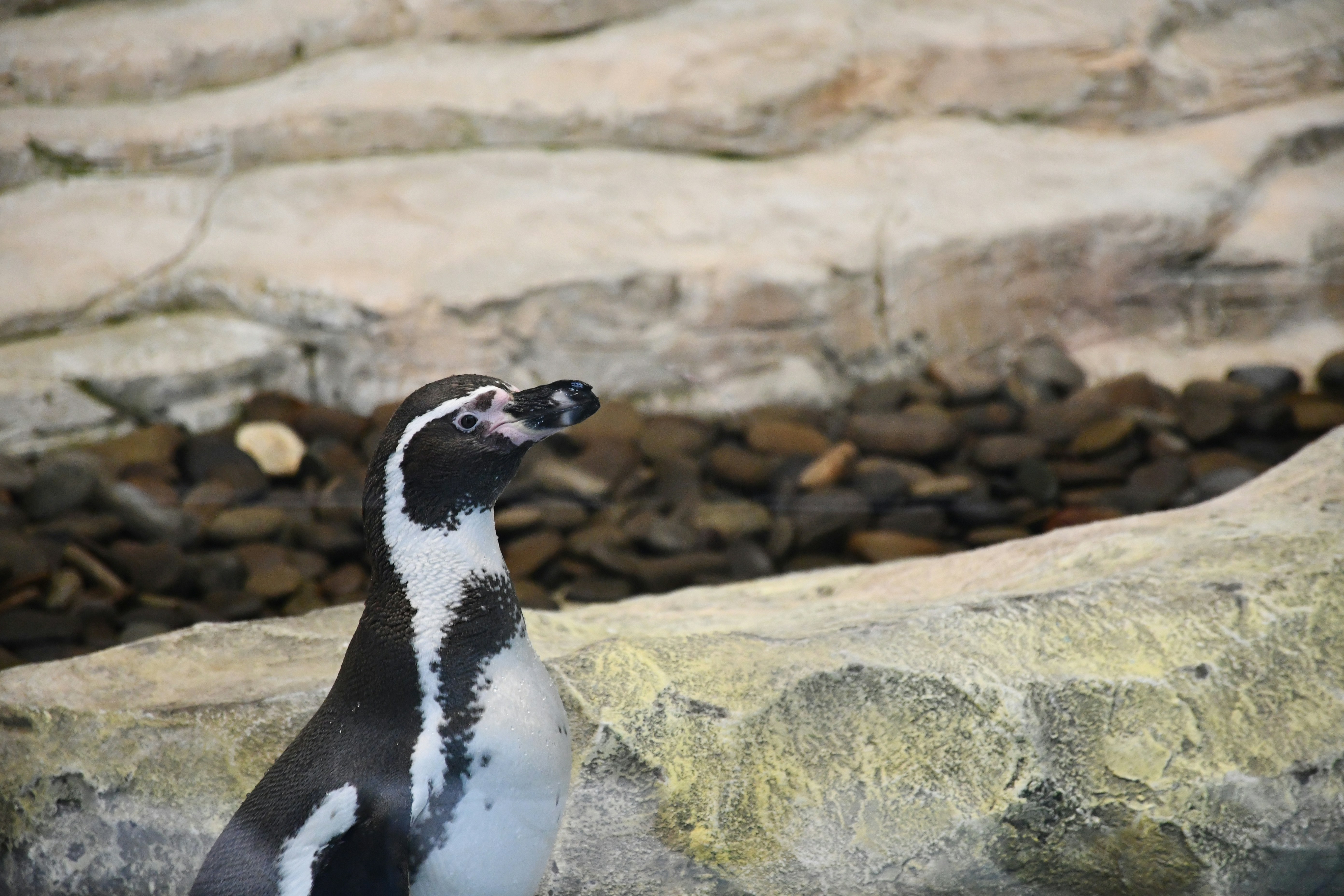 Photo by anna_kharkivska