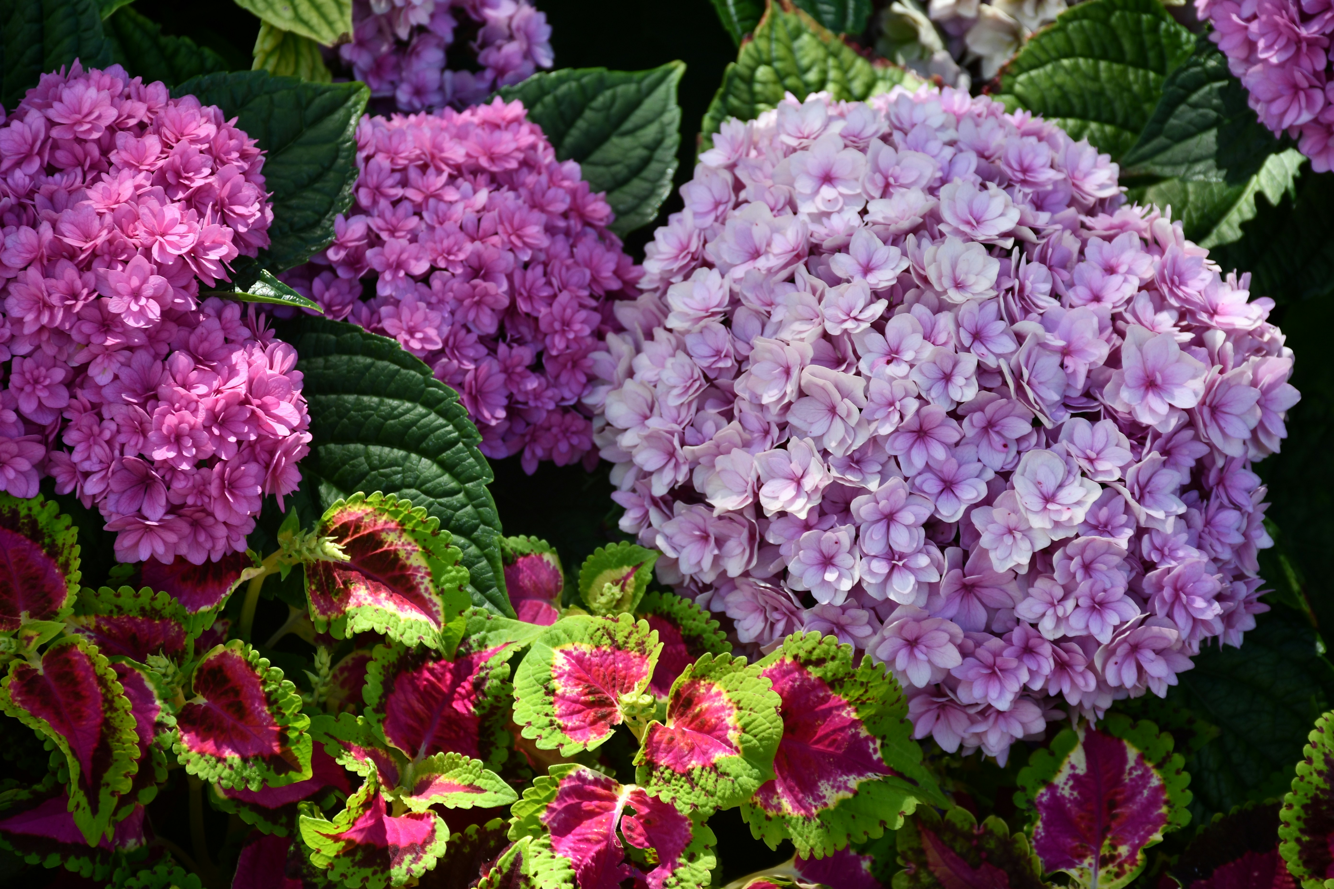 Photo by anna_kharkivska