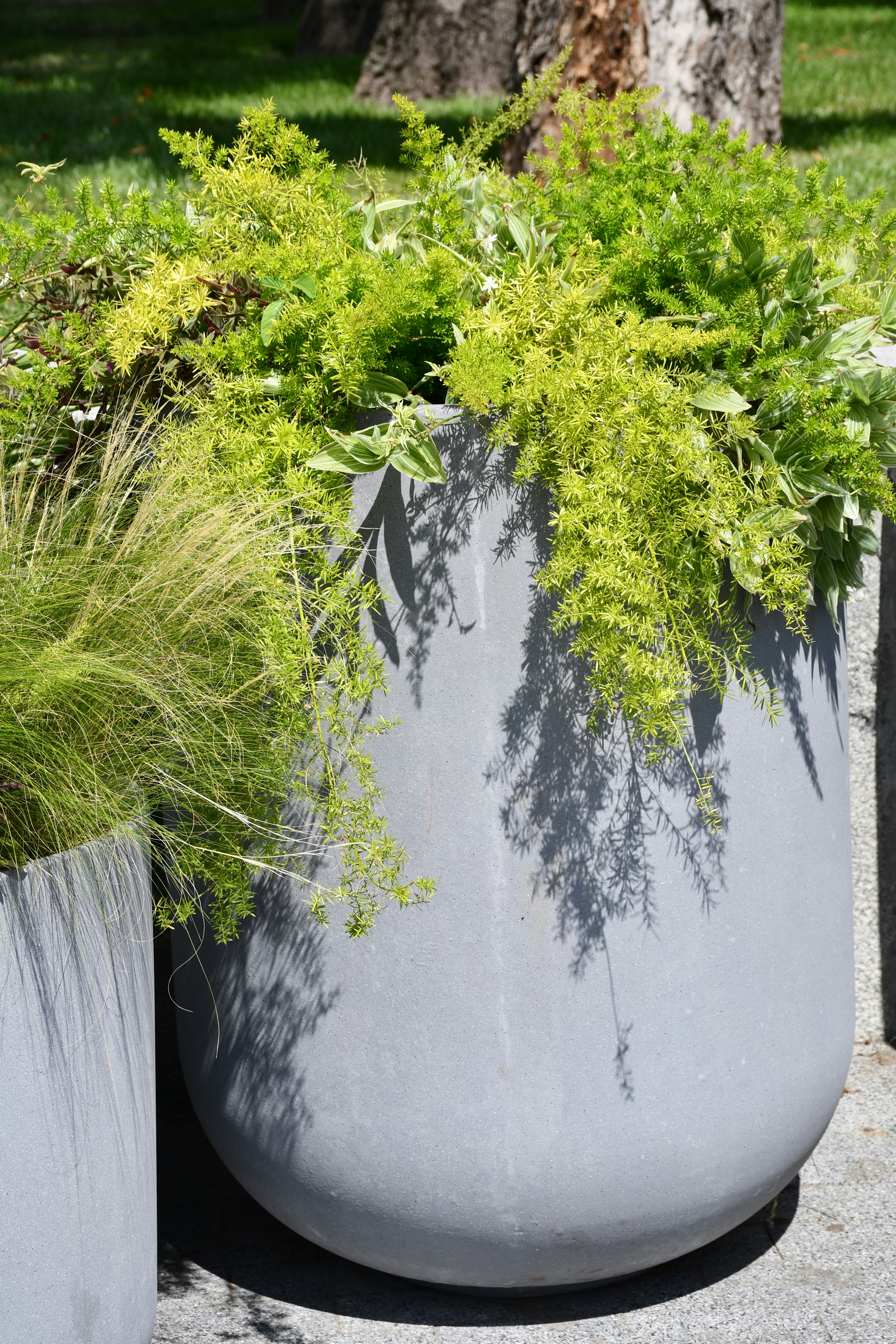 Photo by anna_kharkivska