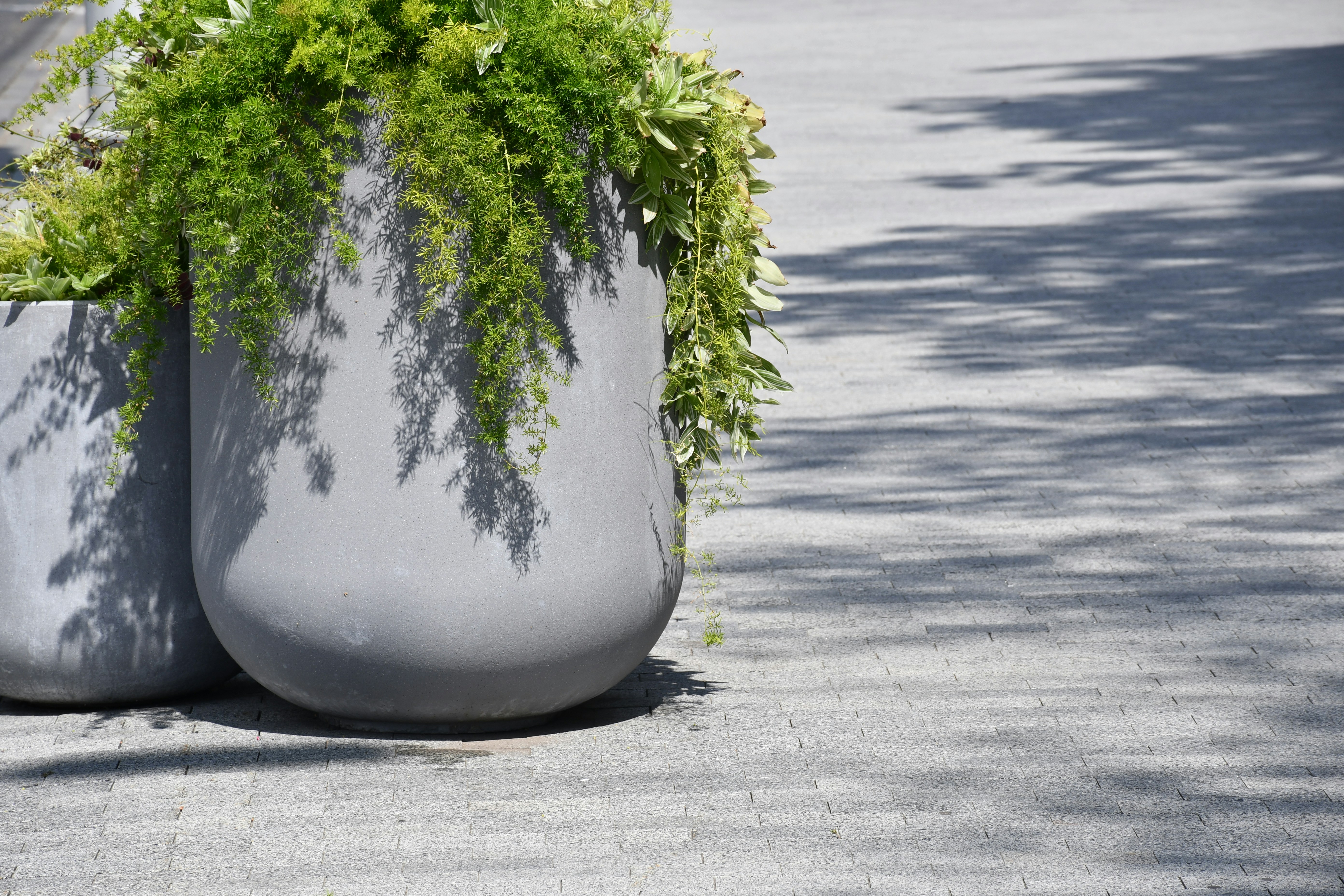 Photo by anna_kharkivska