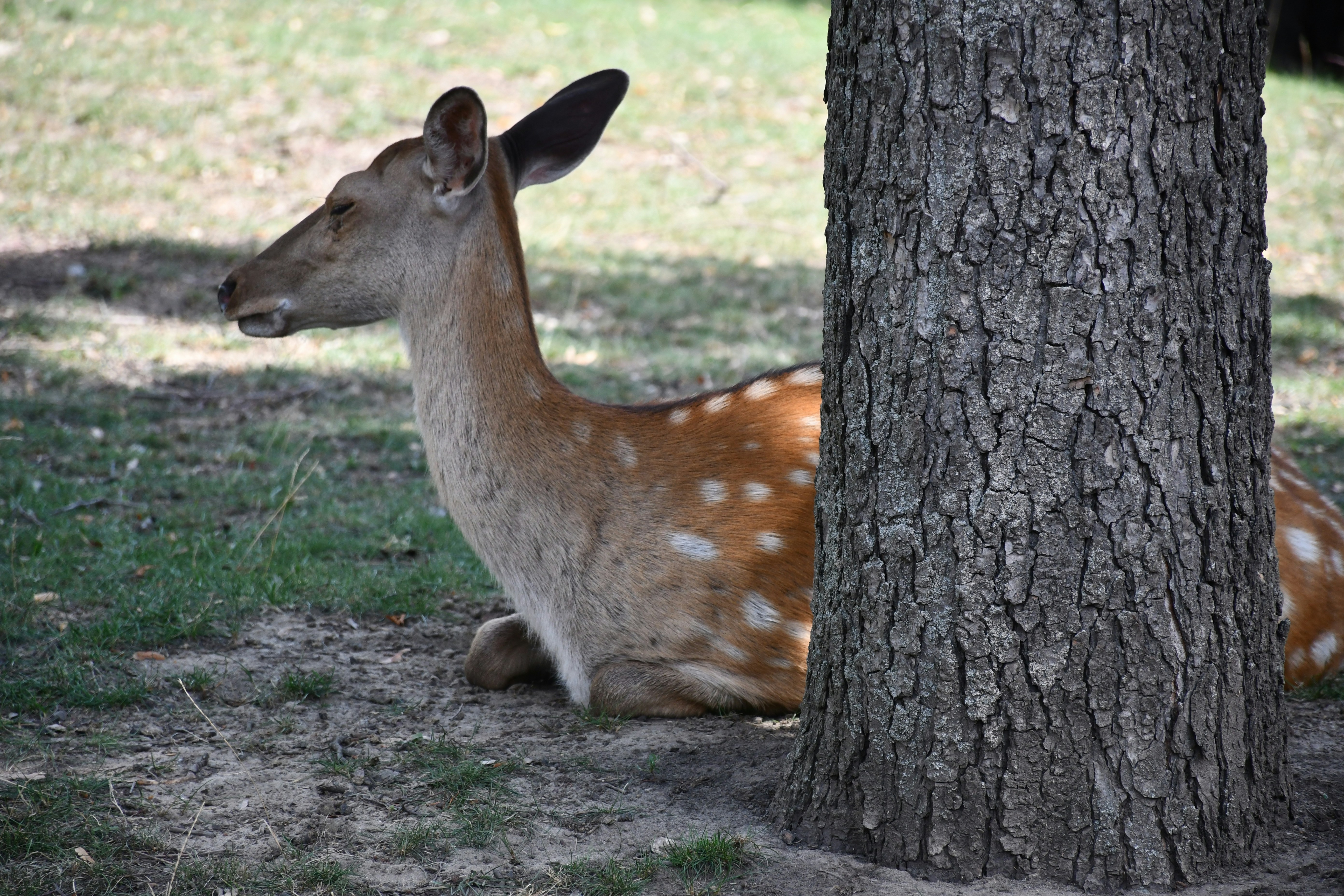 Photo by anna_kharkivska