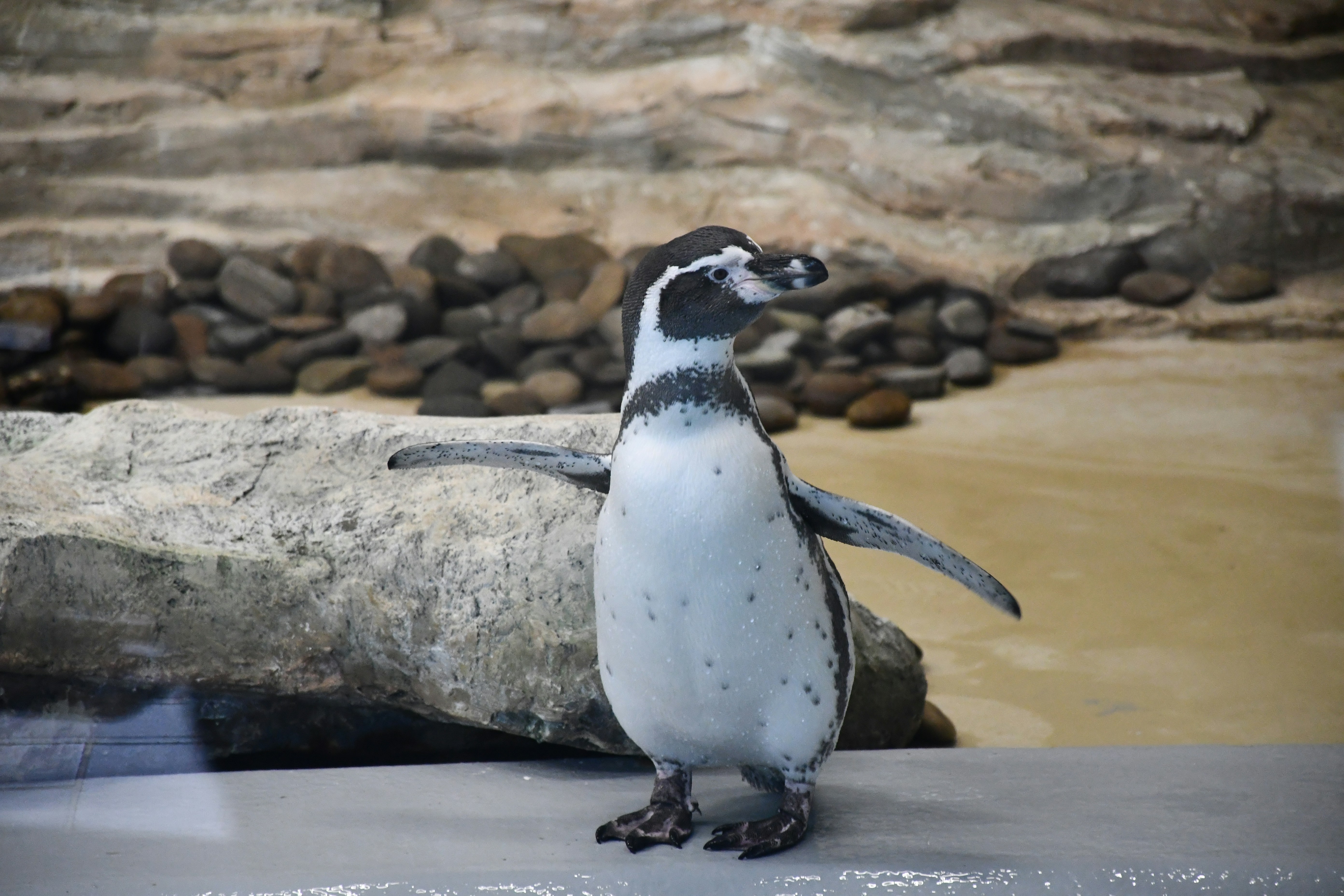 Photo by anna_kharkivska