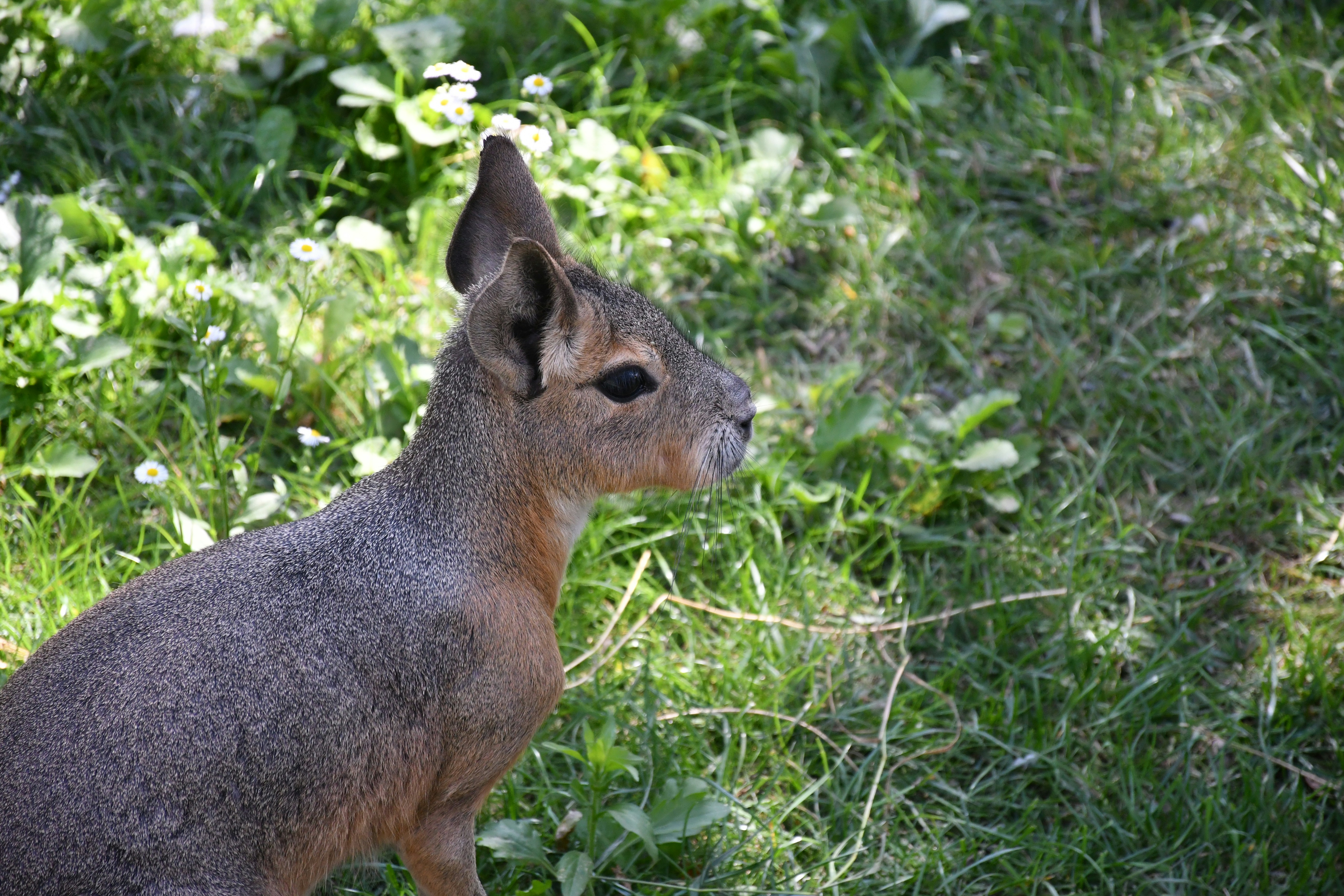 Photo by anna_kharkivska