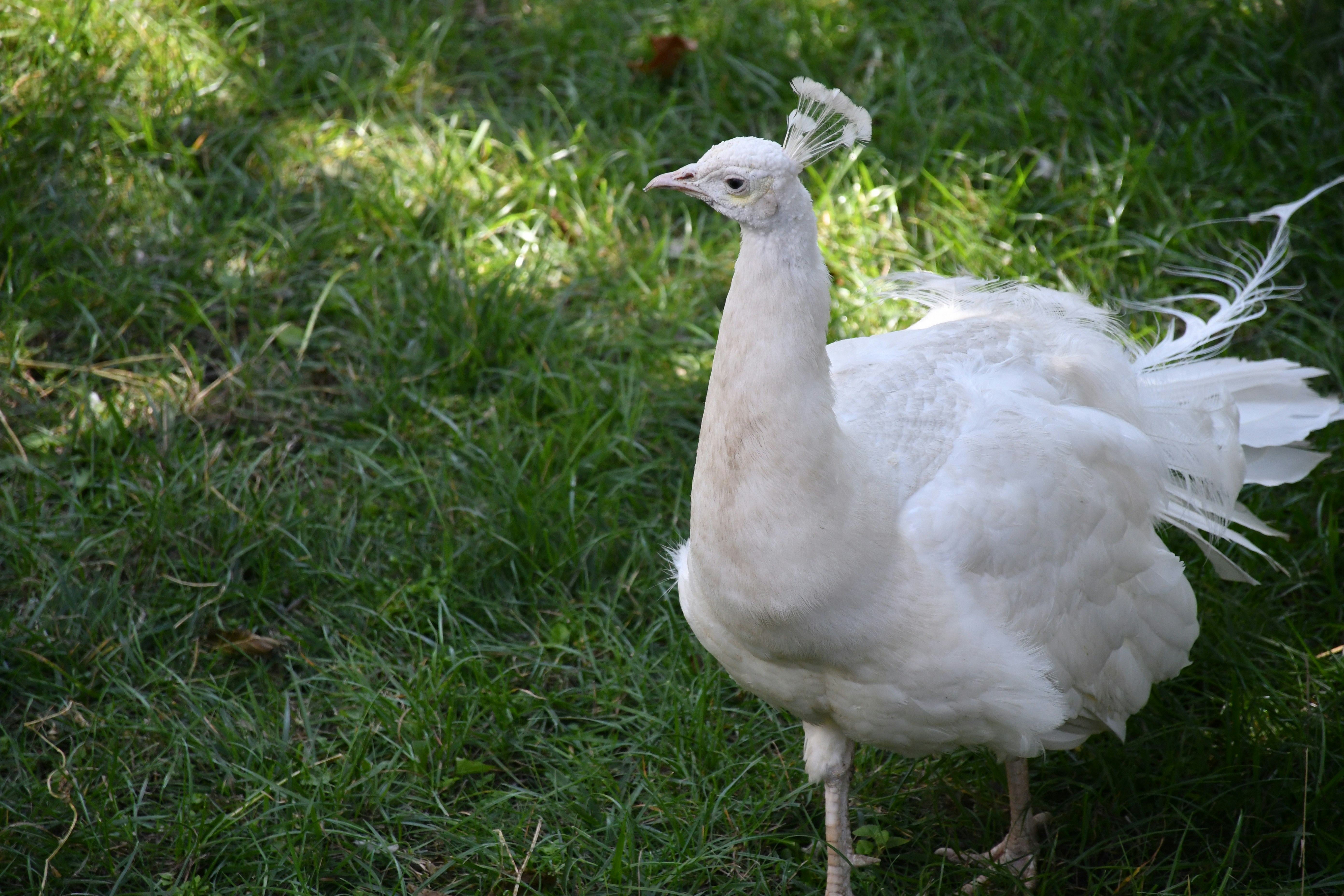 Photo by anna_kharkivska