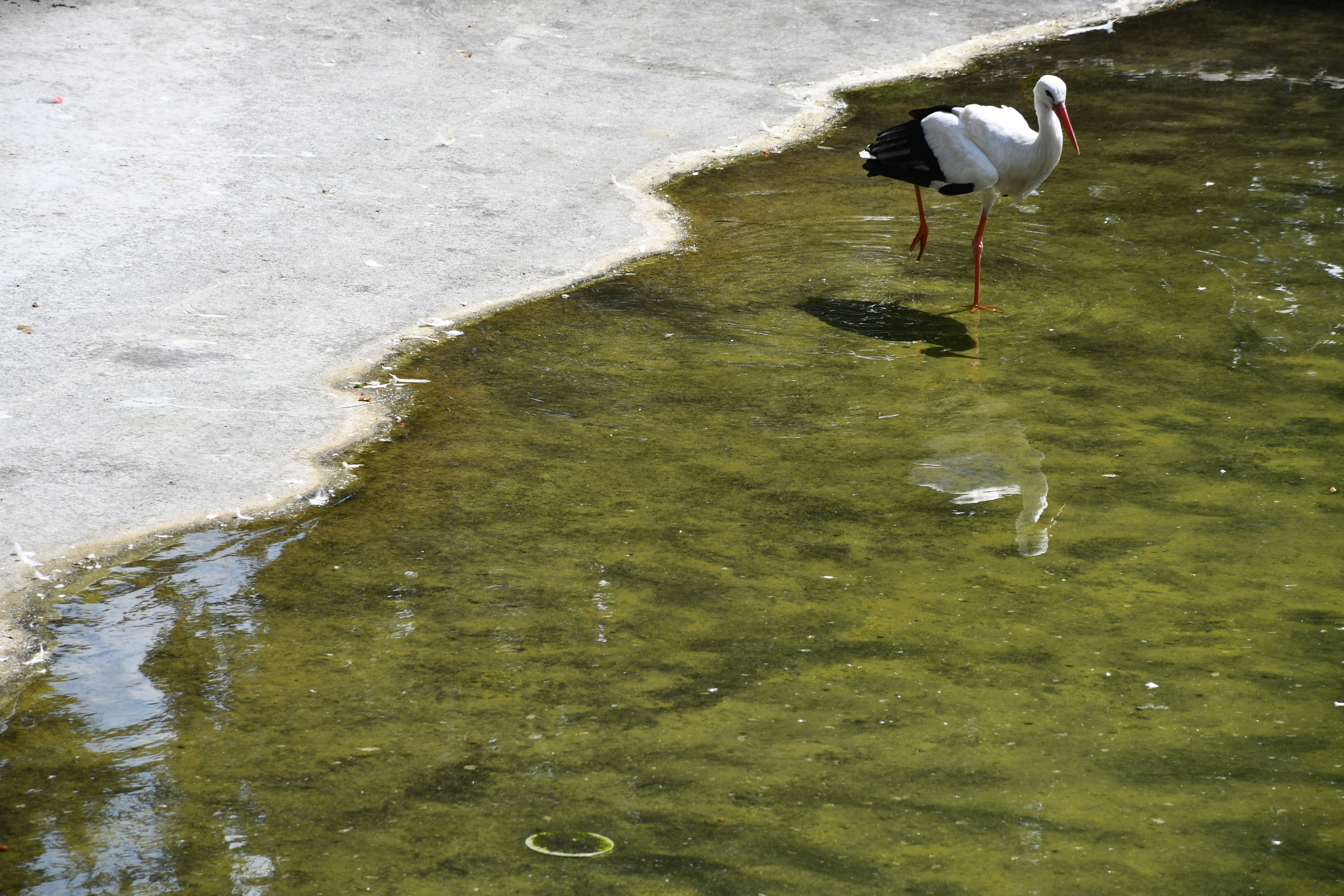 Photo by anna_kharkivska