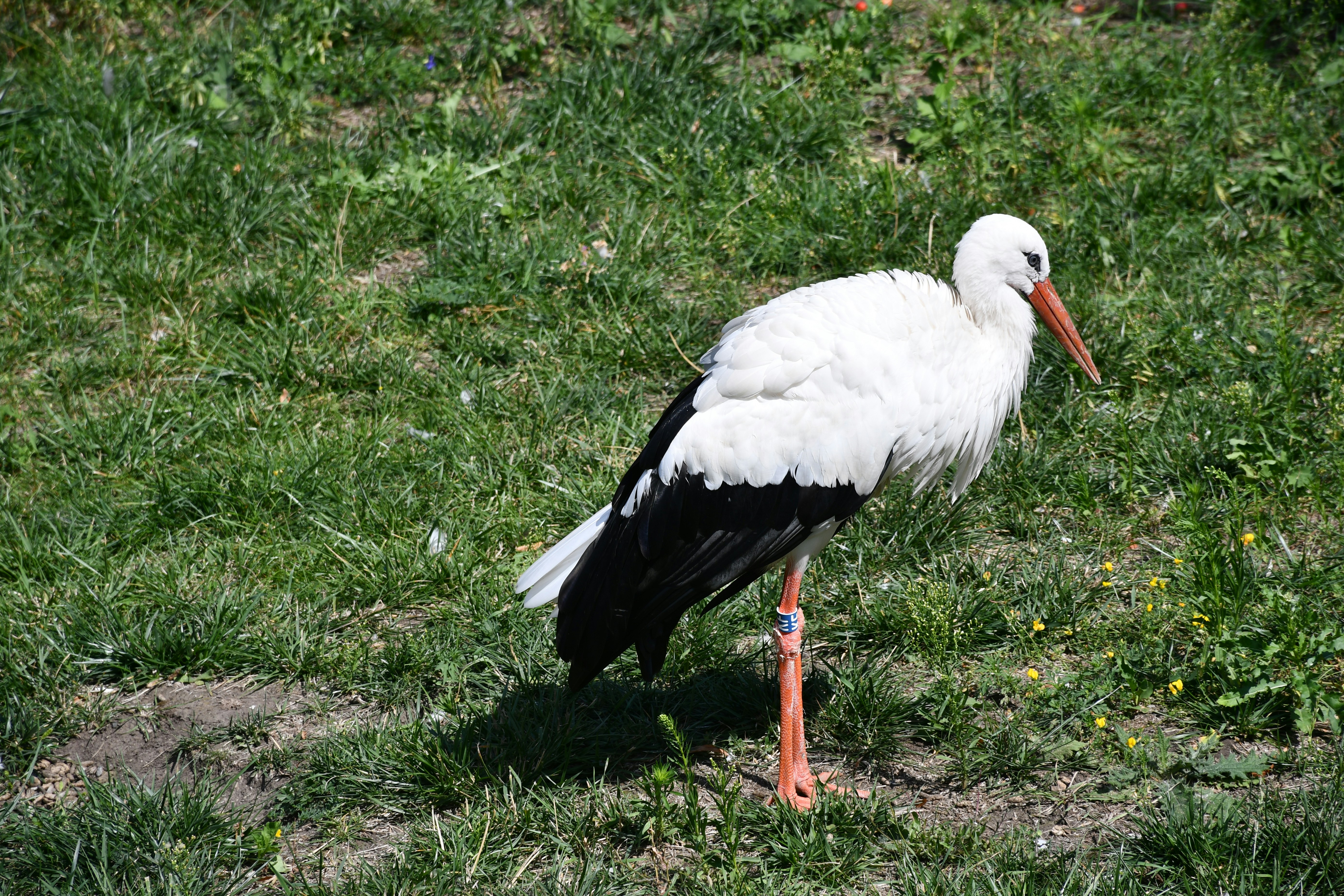 Photo by anna_kharkivska