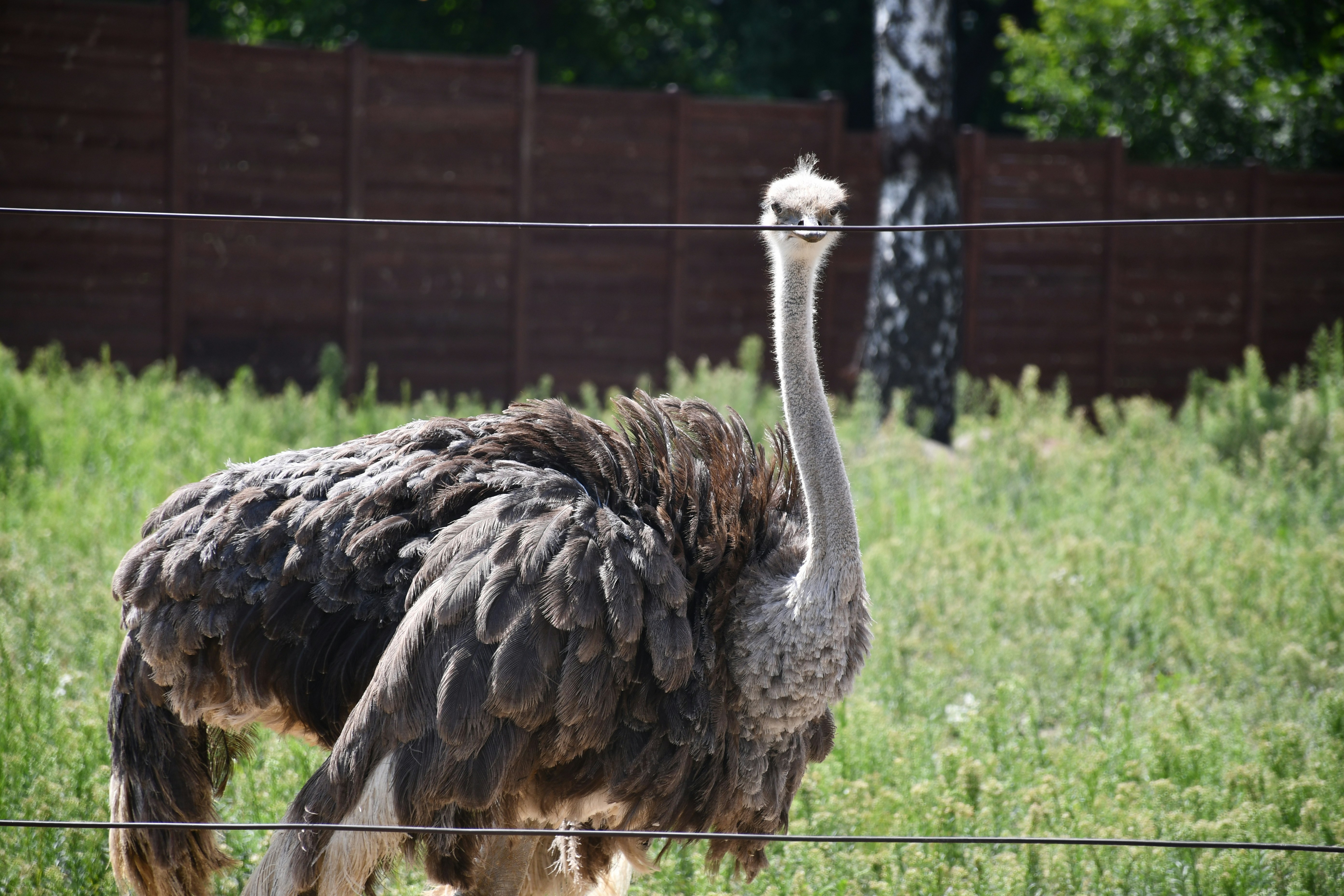 Photo by anna_kharkivska