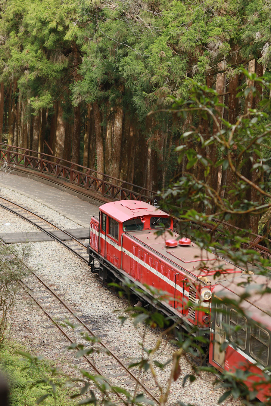 Die rote Schmalspurbahn von Alishan im Zypressenwald