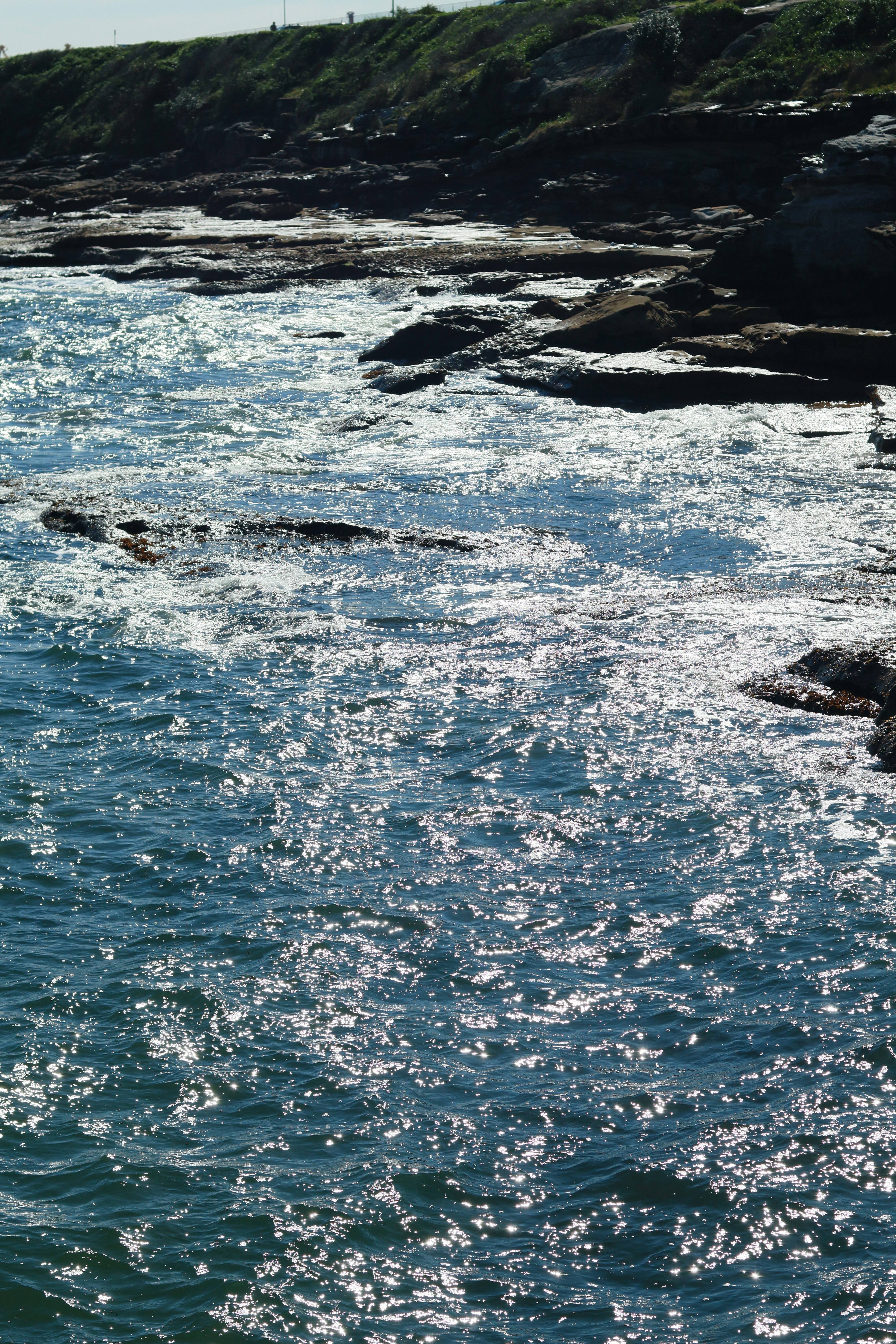 Photo by notmichelle