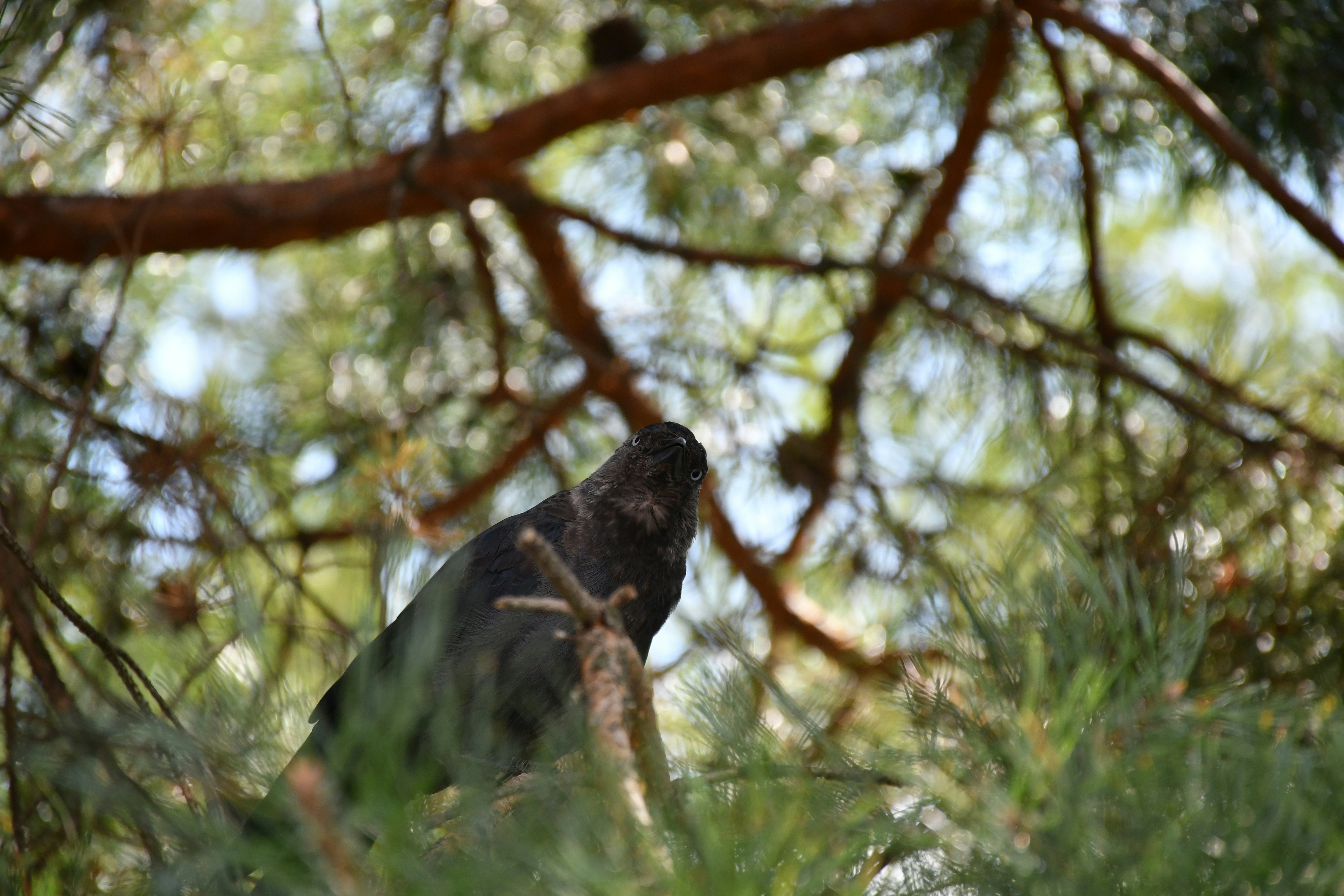 Photo by anna_kharkivska