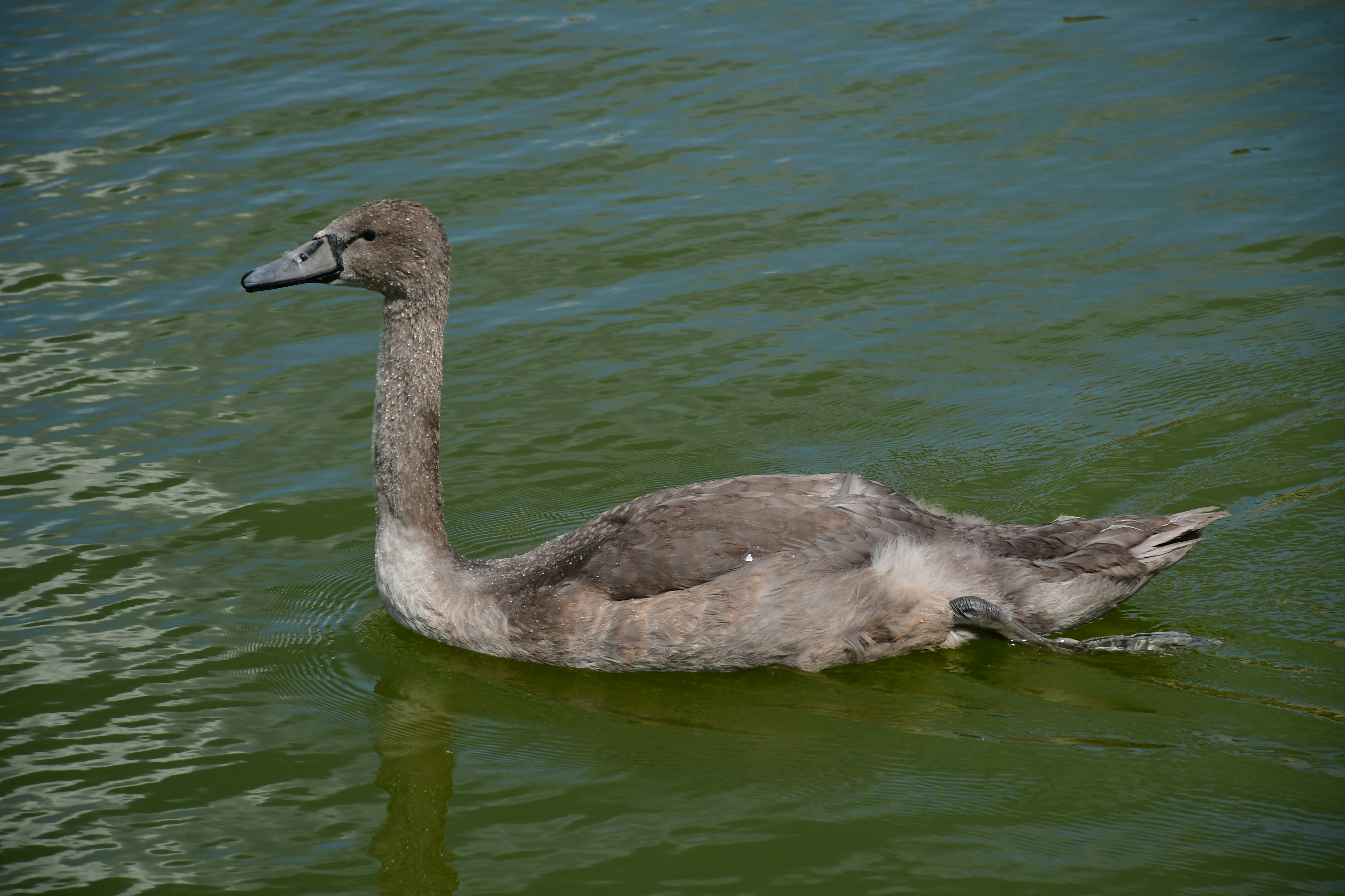 Photo by anna_kharkivska