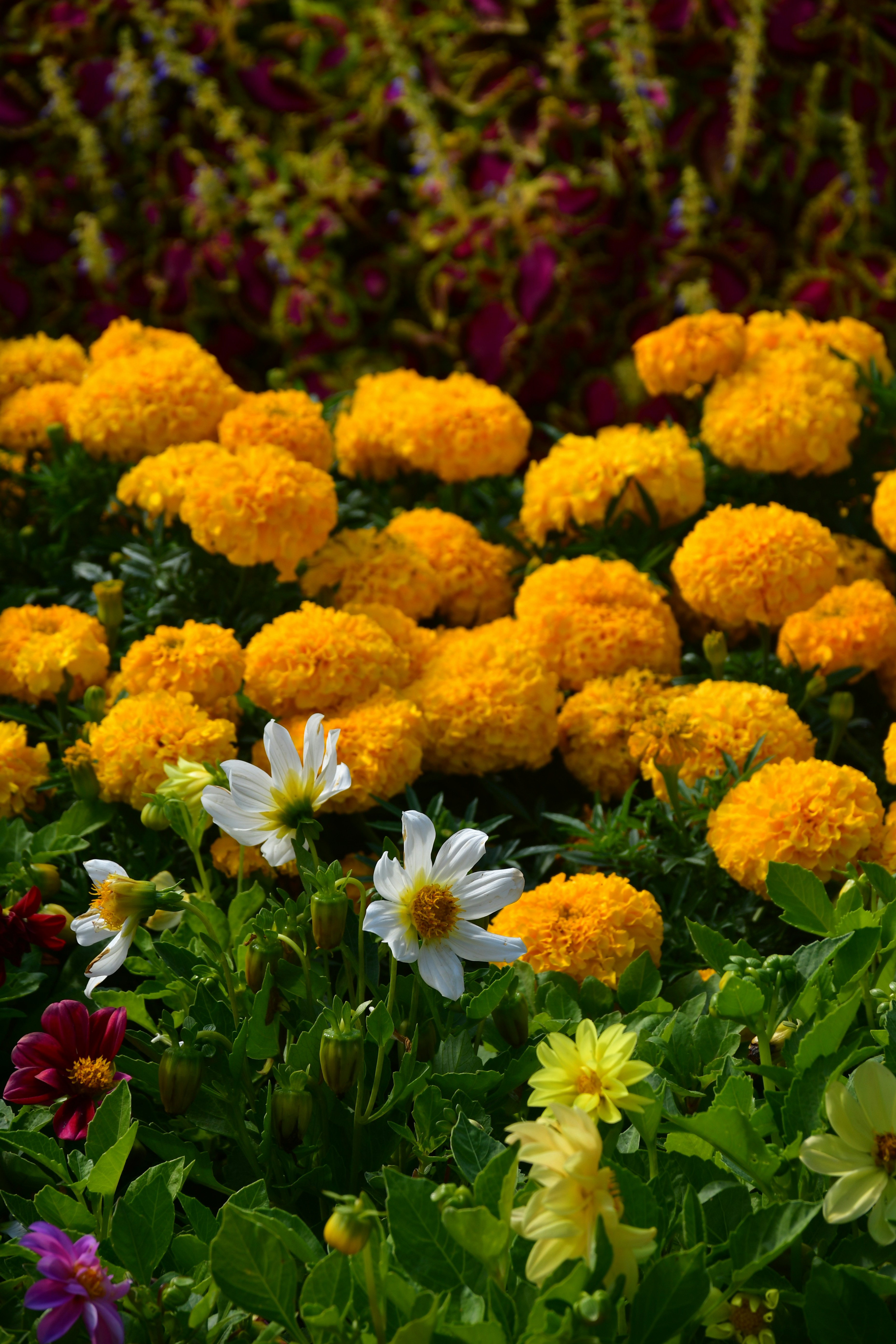 Photo by anna_kharkivska