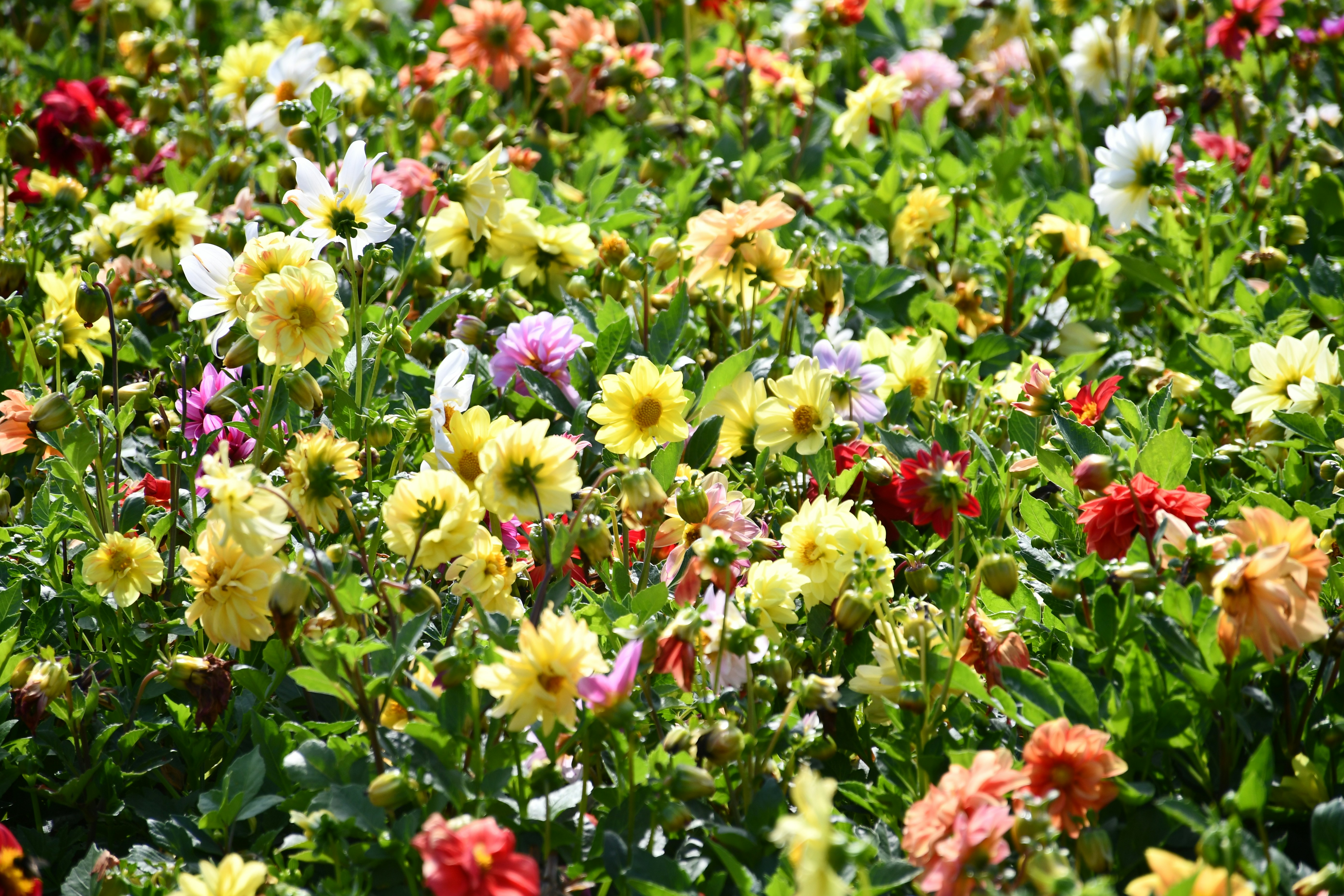 አስተዳደግ - ክፍል ፩