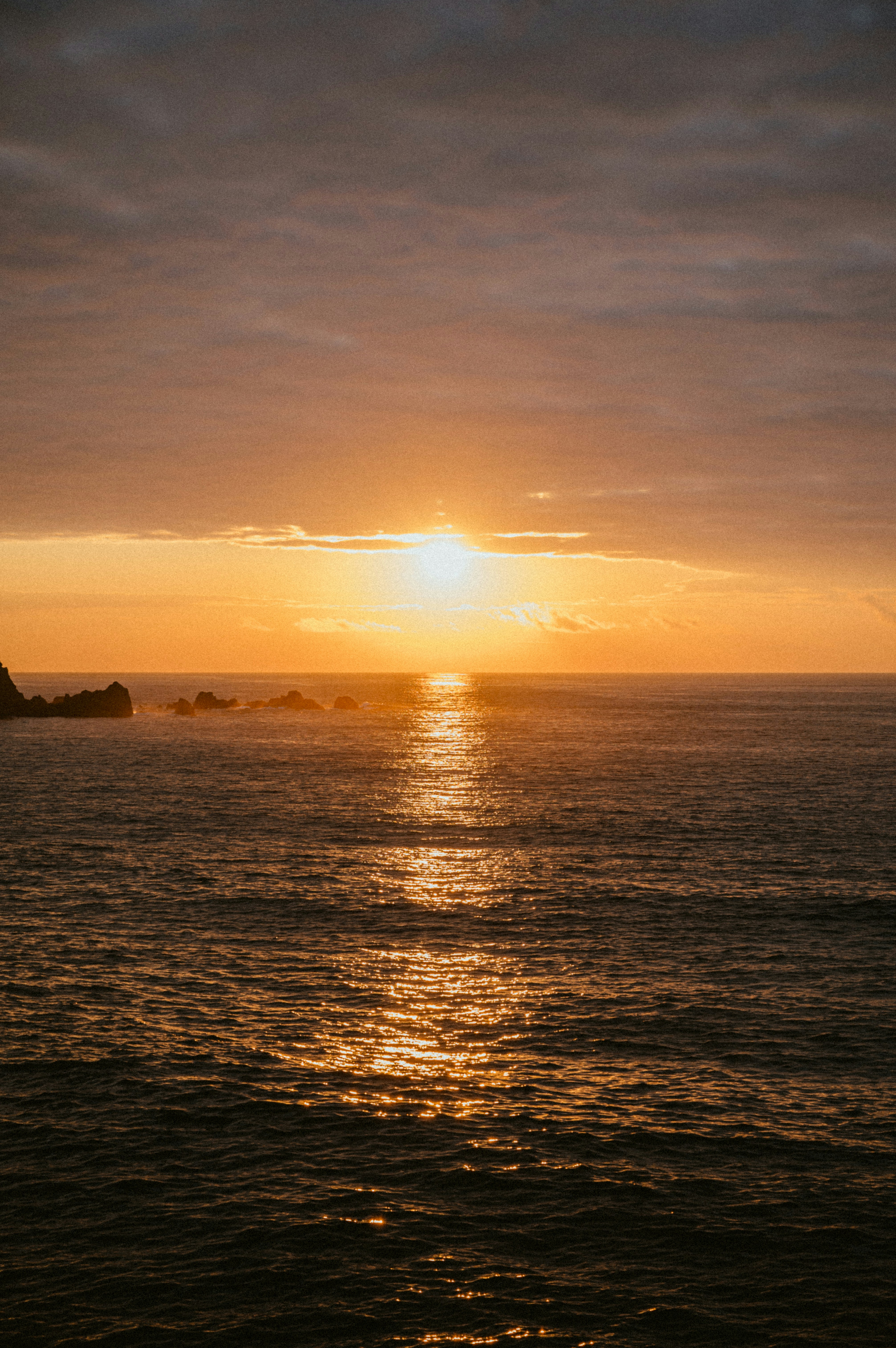 Photo by luca_severin