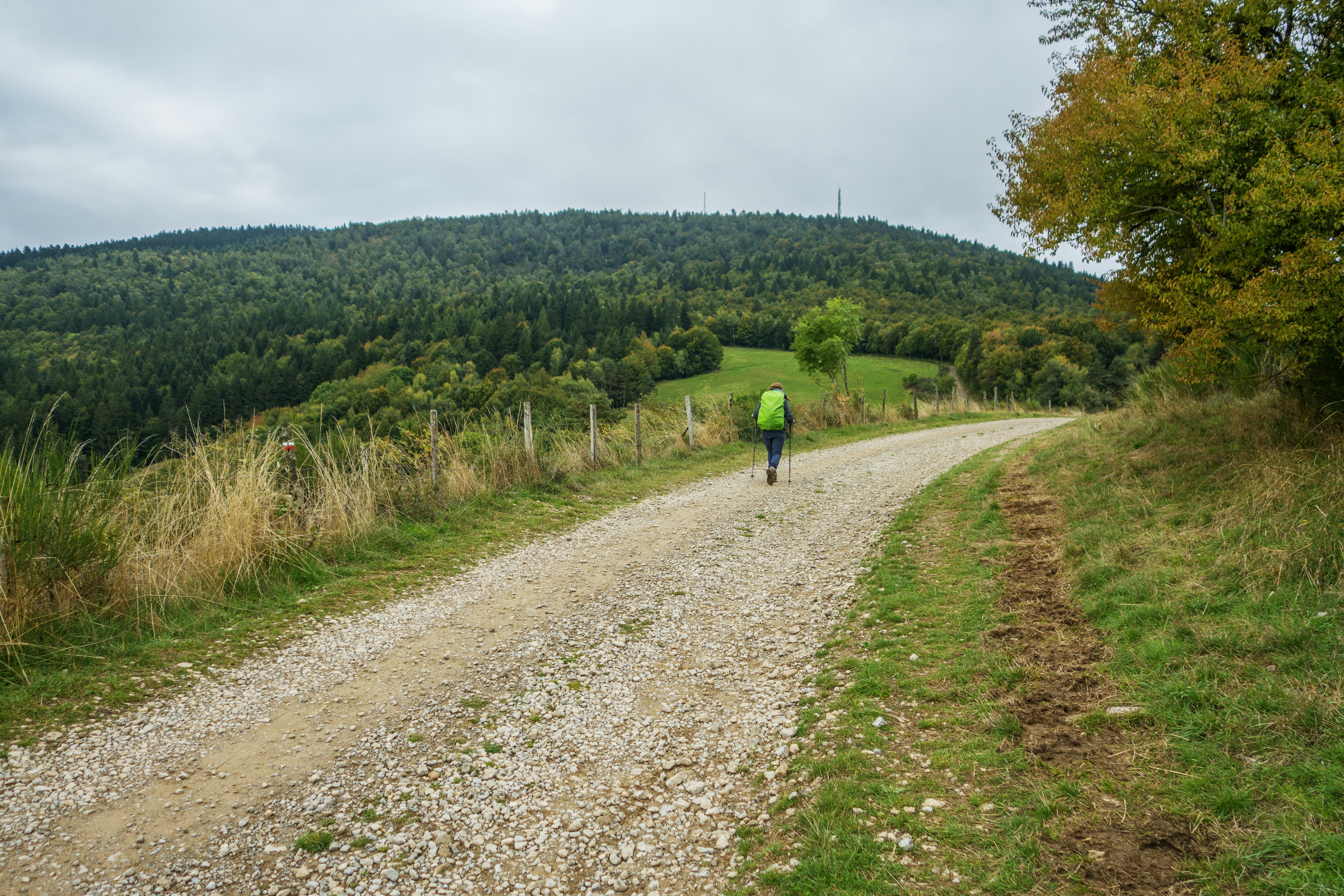 Hiker walks on a gravel path through rolling hills.