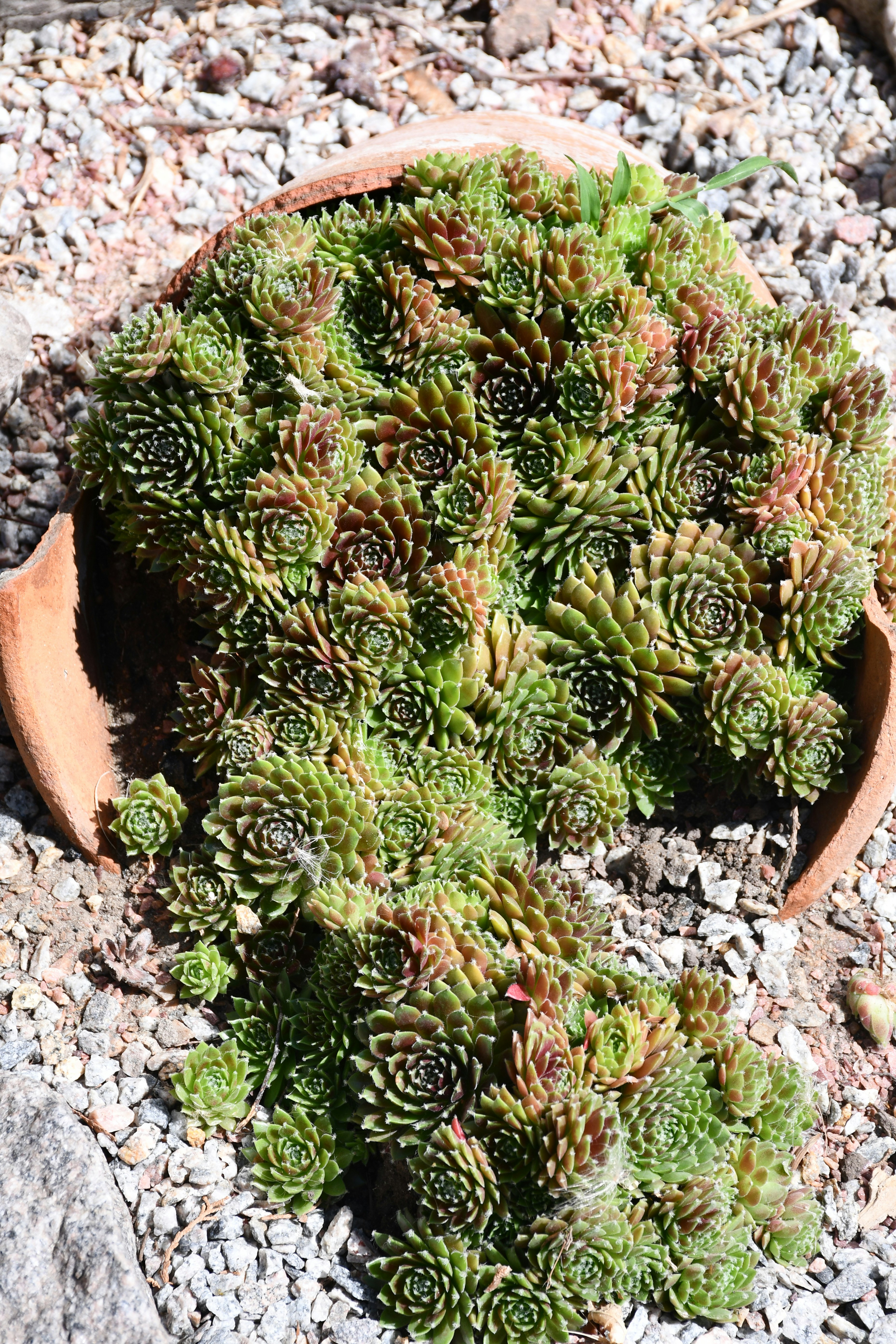 Photo by anna_kharkivska