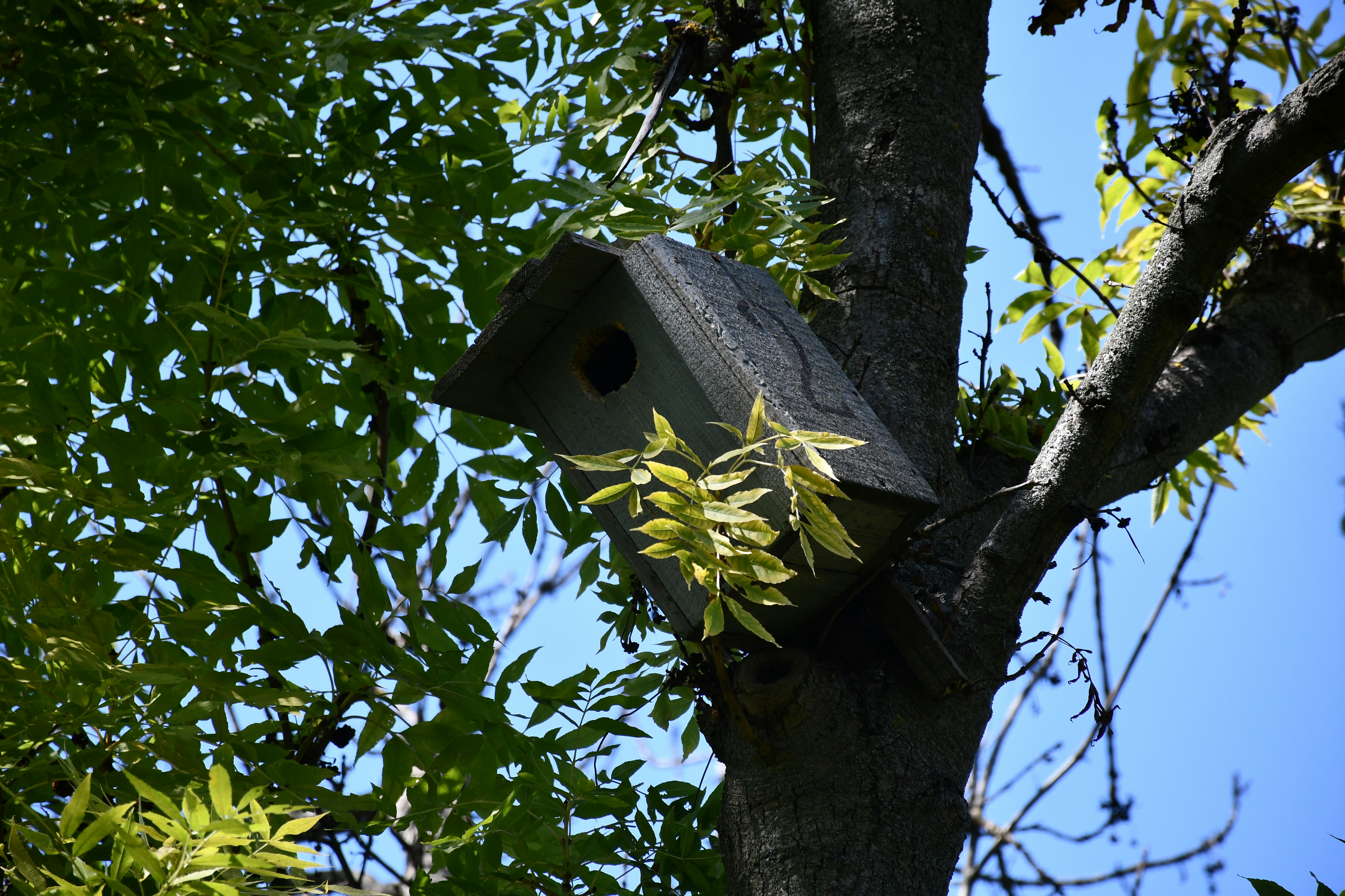 Photo by anna_kharkivska