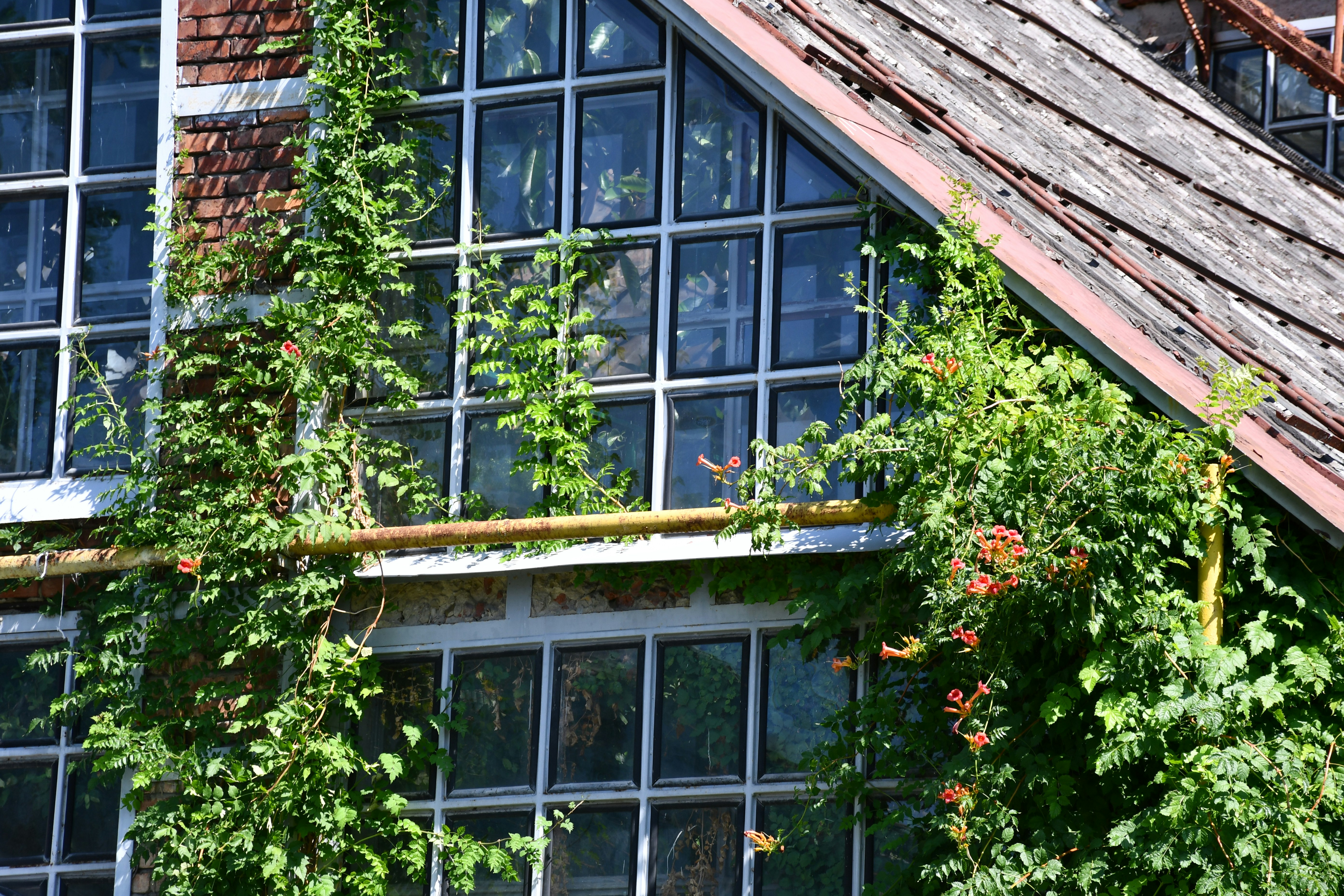 Photo by anna_kharkivska