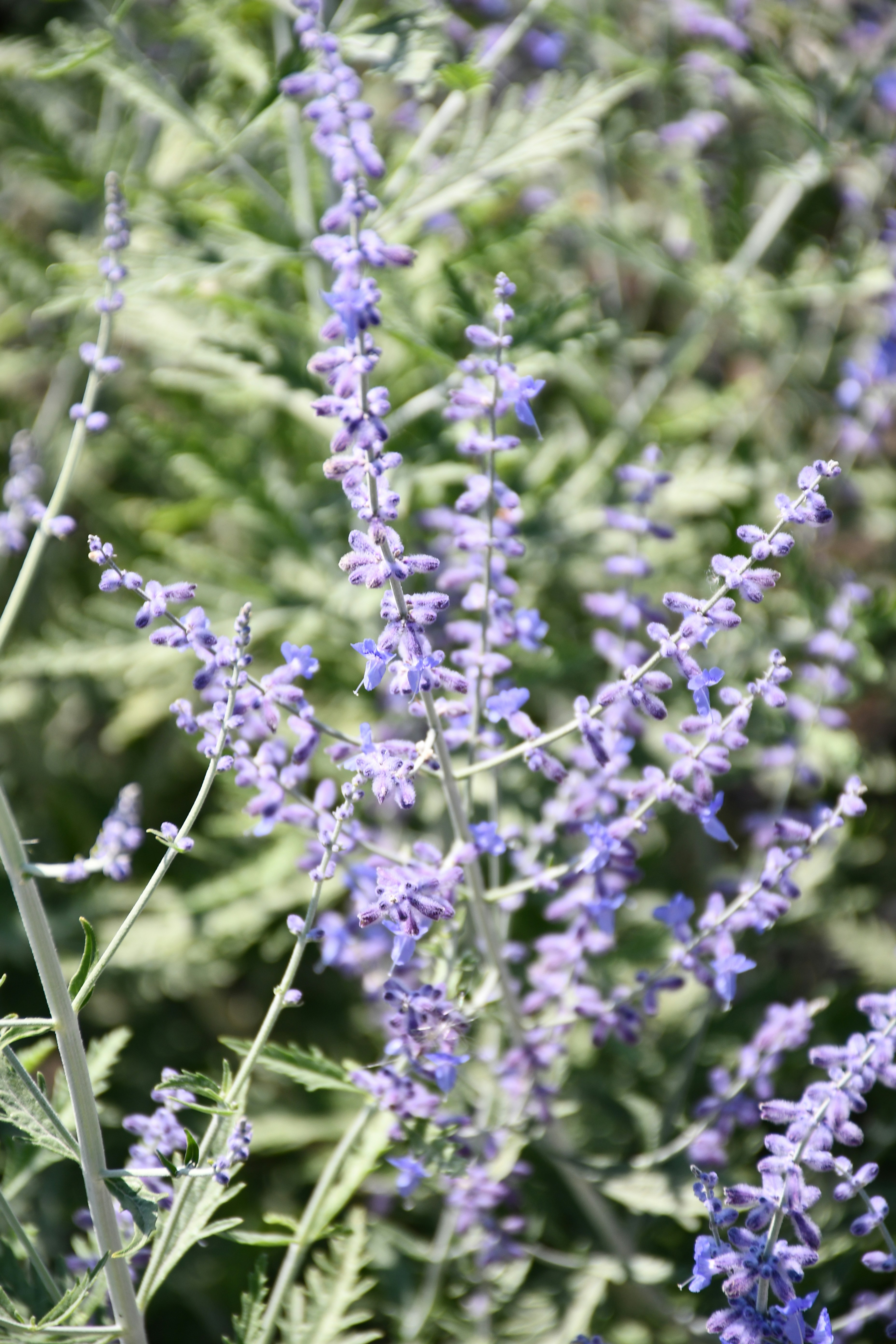 Photo by anna_kharkivska