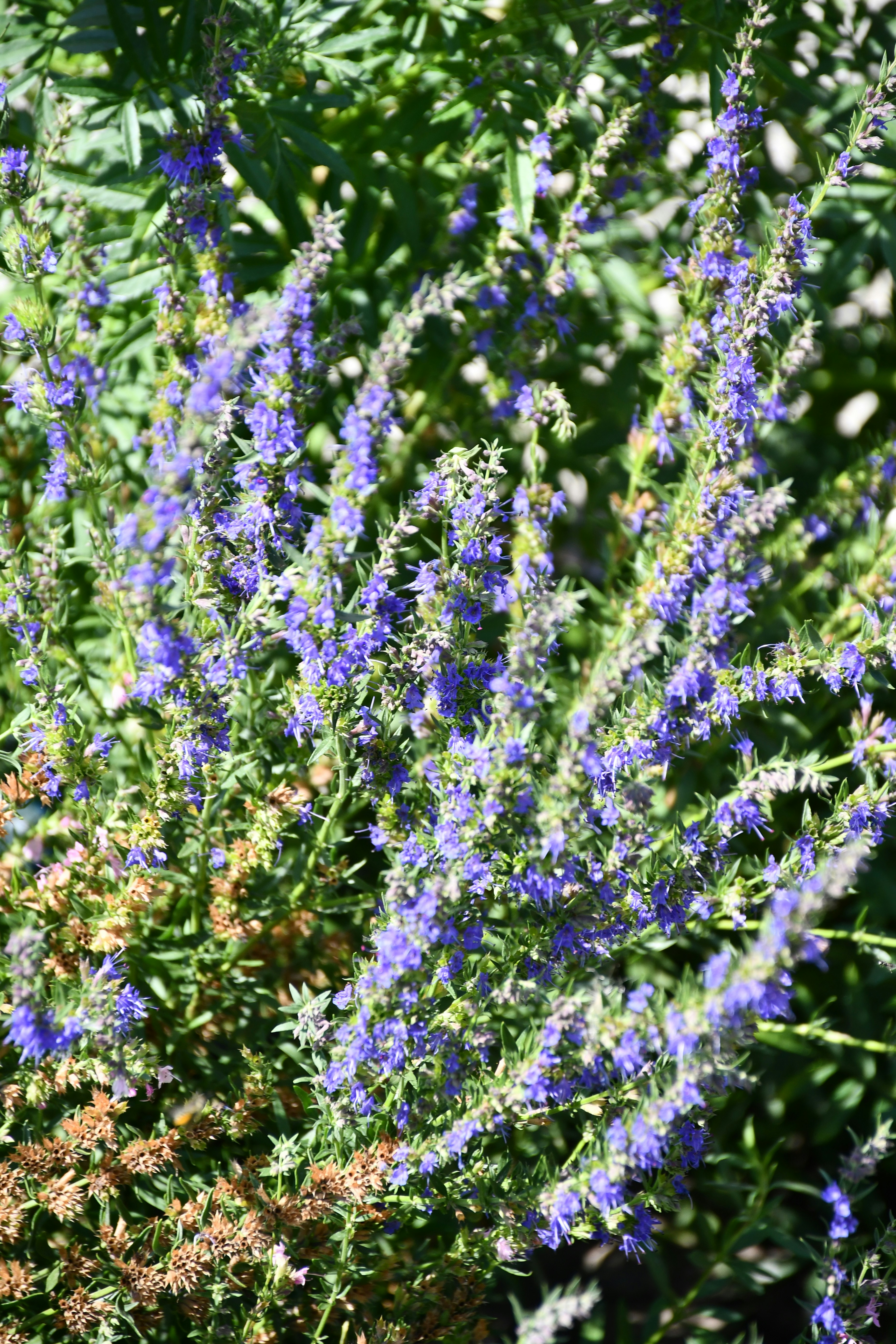 Photo by anna_kharkivska