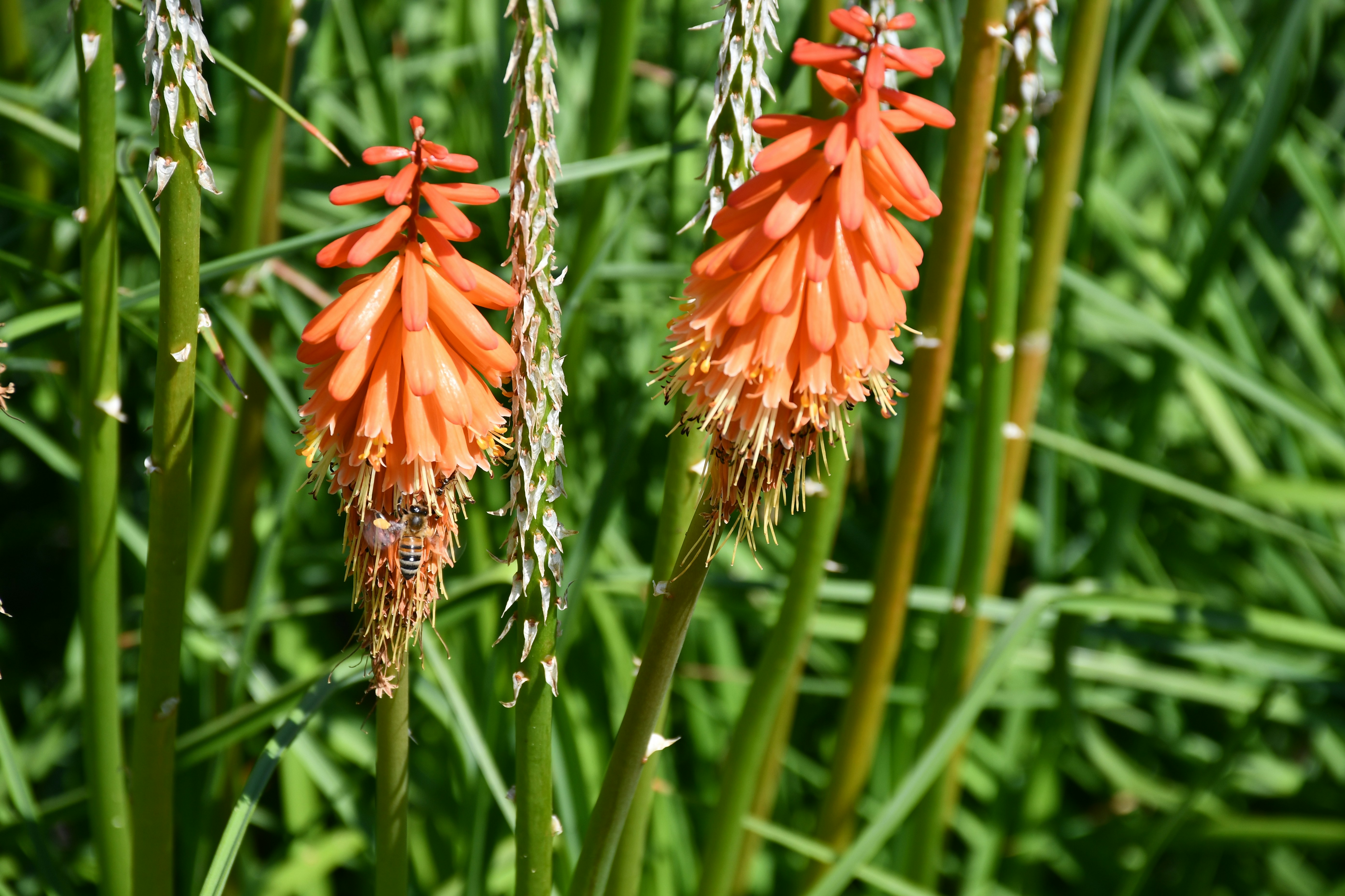 Photo by anna_kharkivska