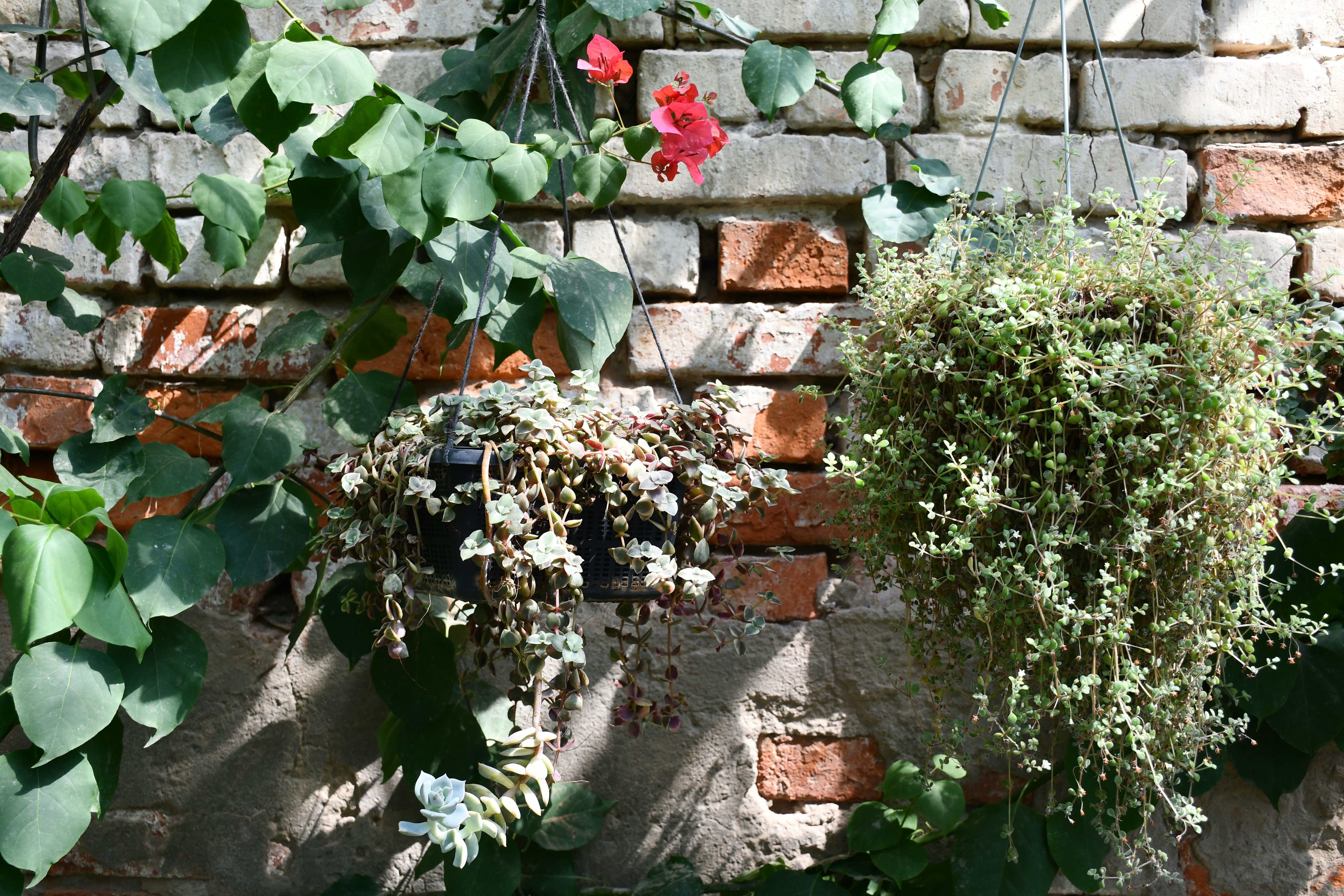 Photo by anna_kharkivska