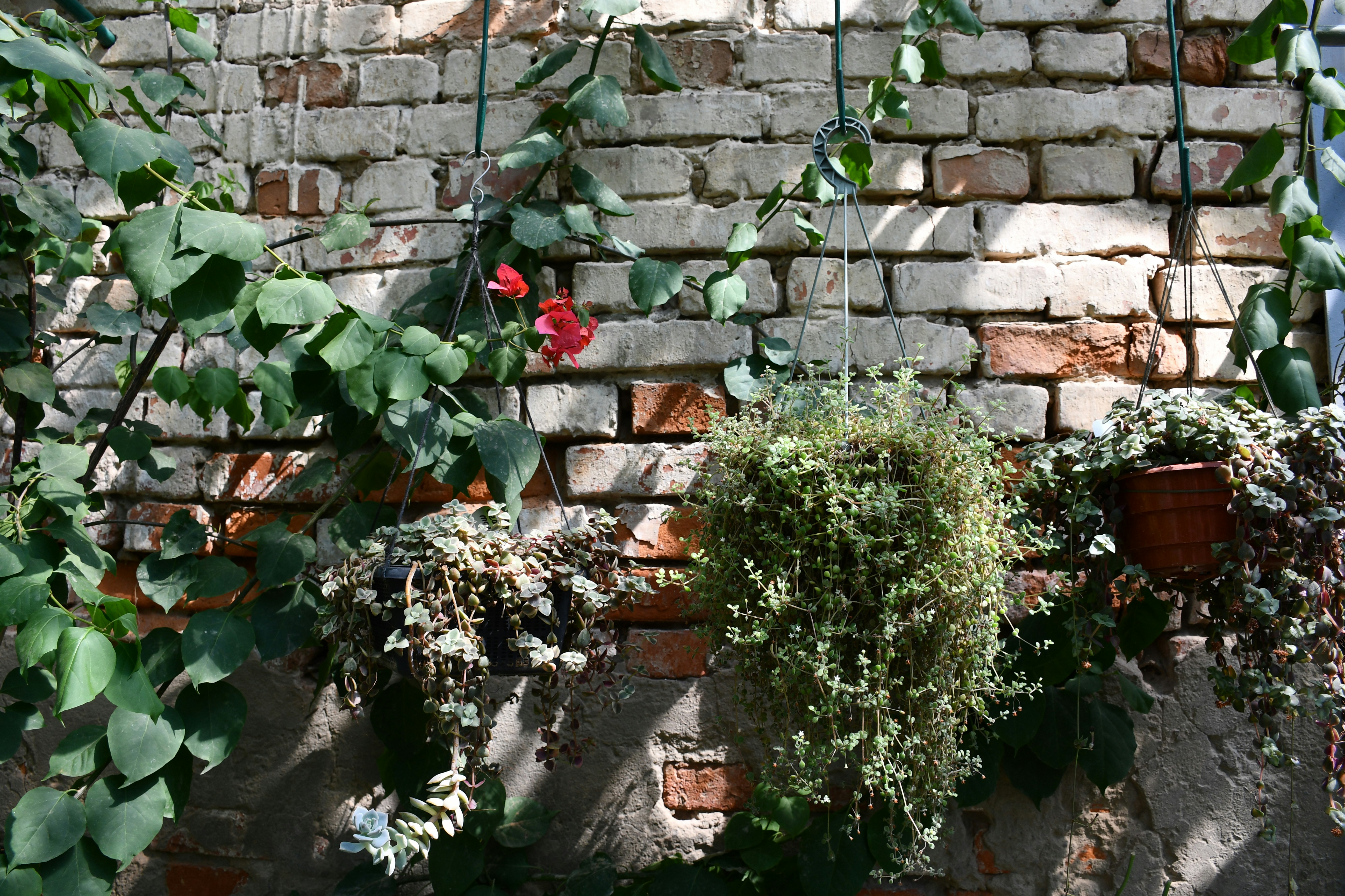 Photo by anna_kharkivska