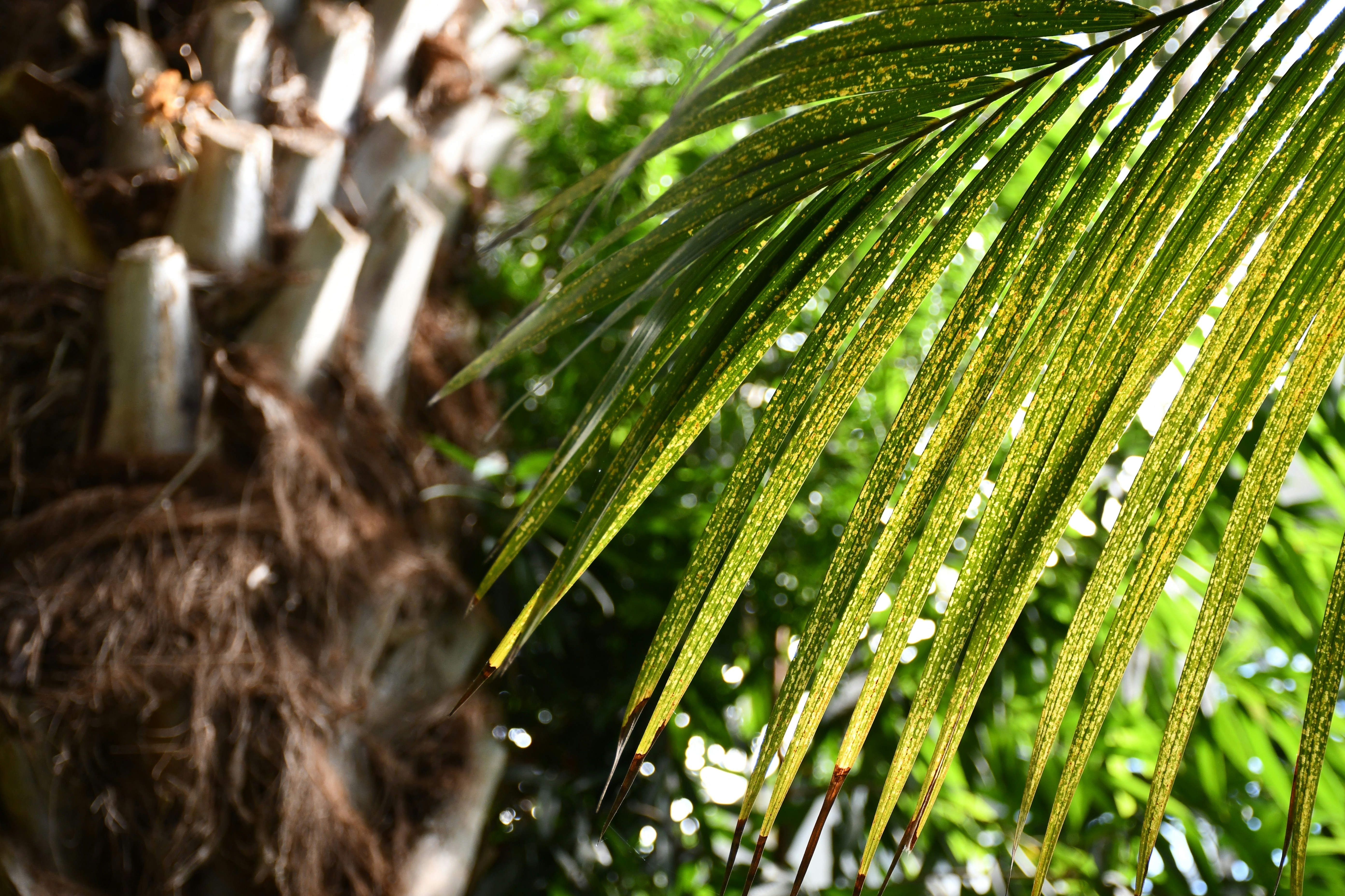 Photo by anna_kharkivska