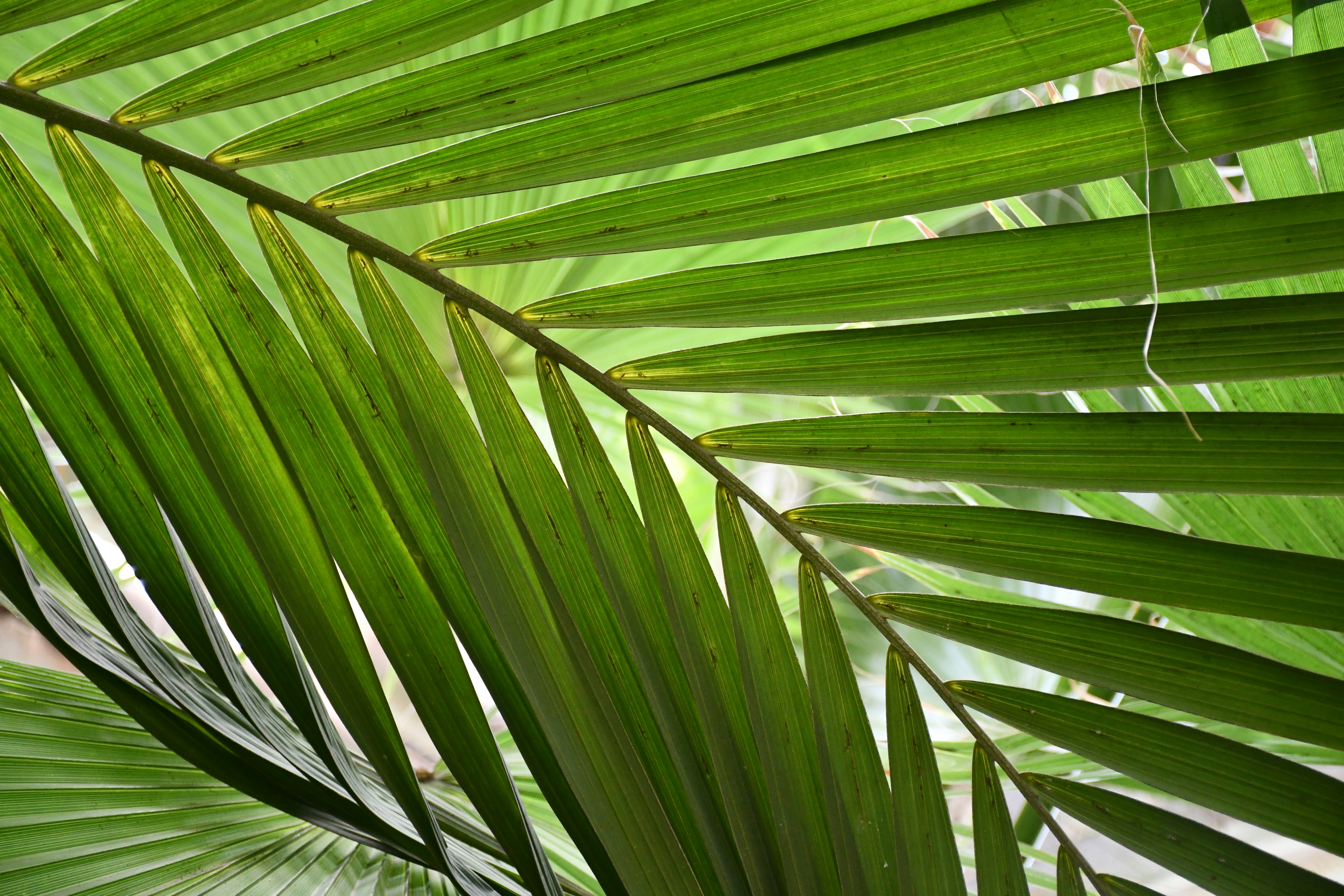 Photo by anna_kharkivska