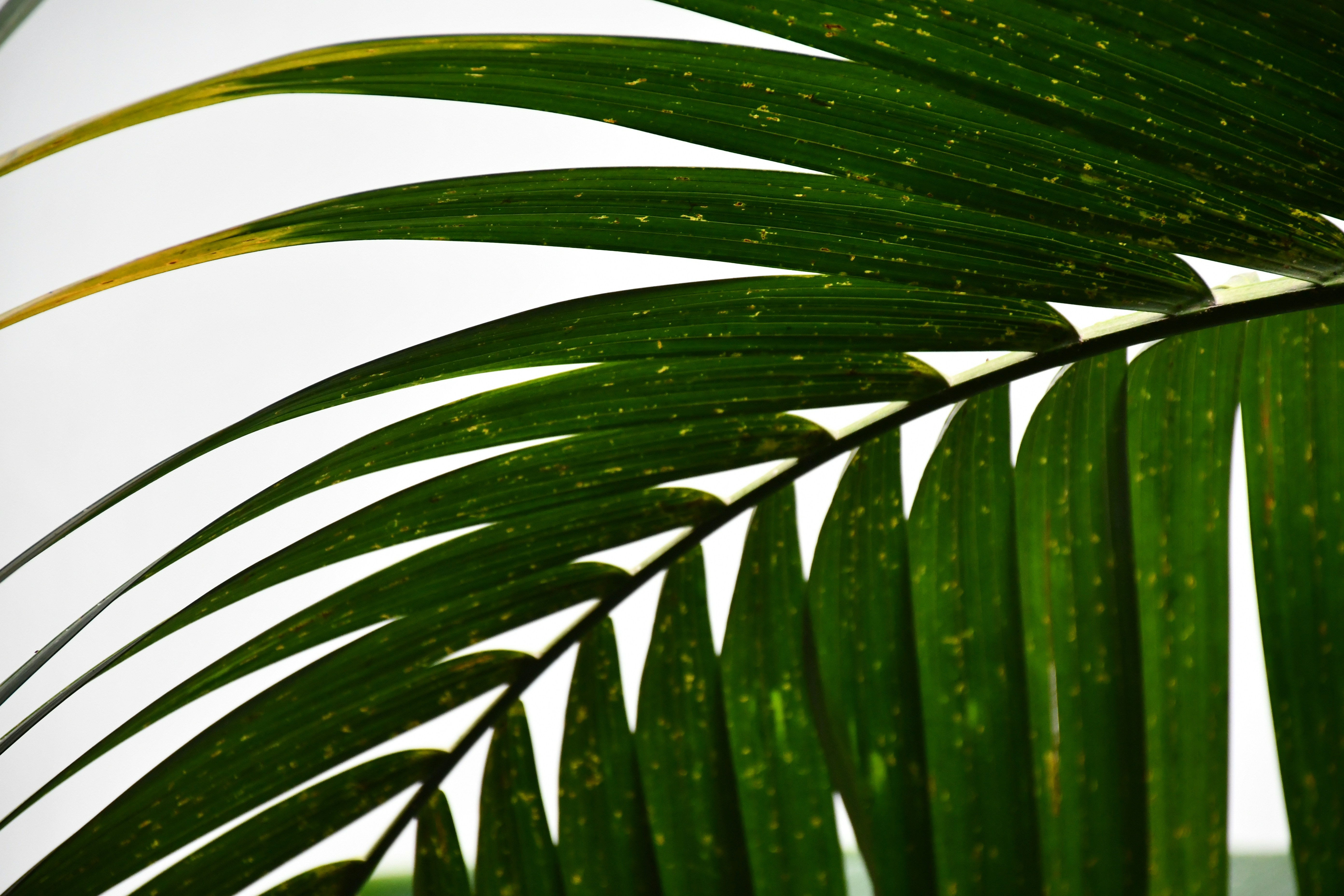 Photo by anna_kharkivska