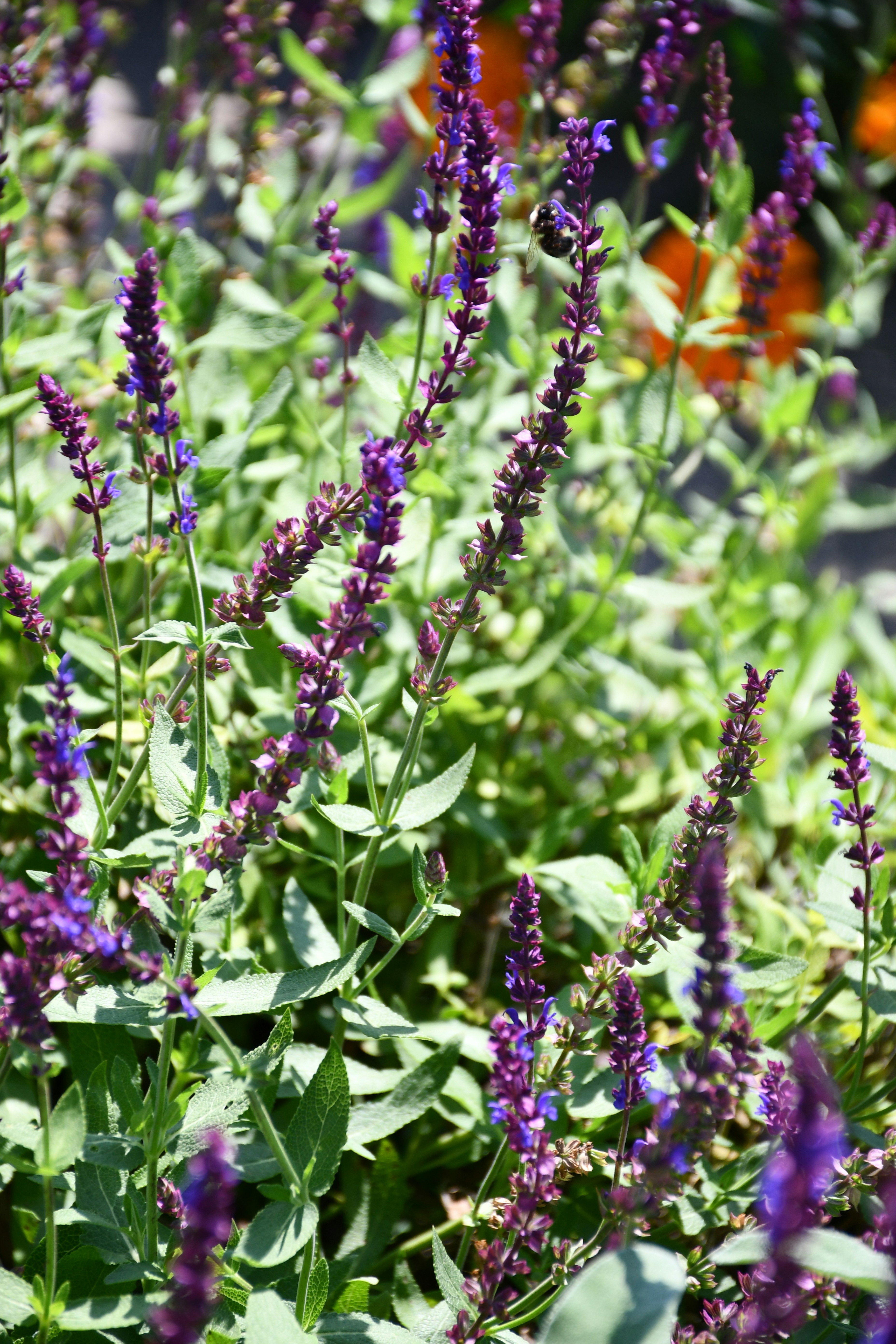 Photo by anna_kharkivska