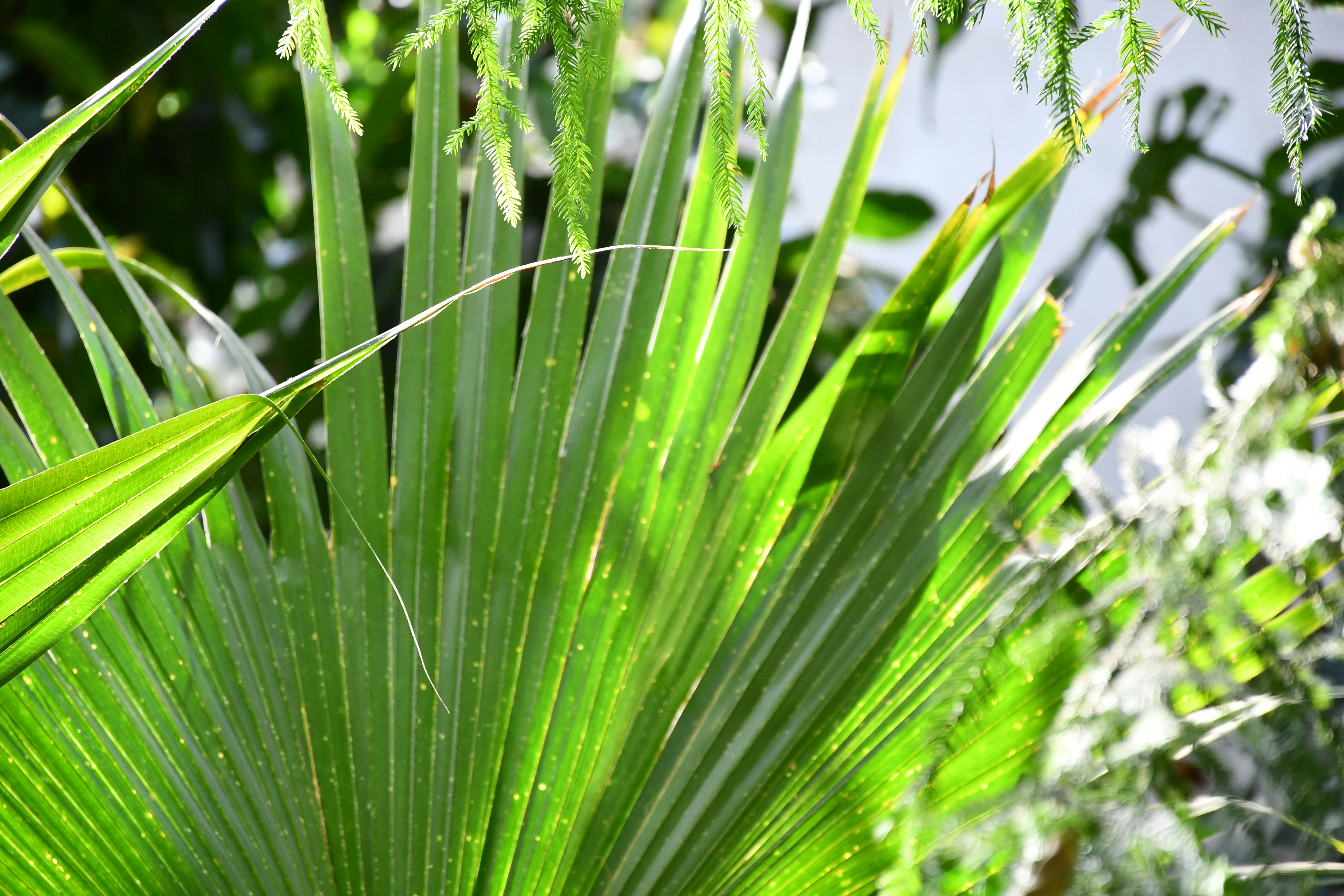 Photo by anna_kharkivska