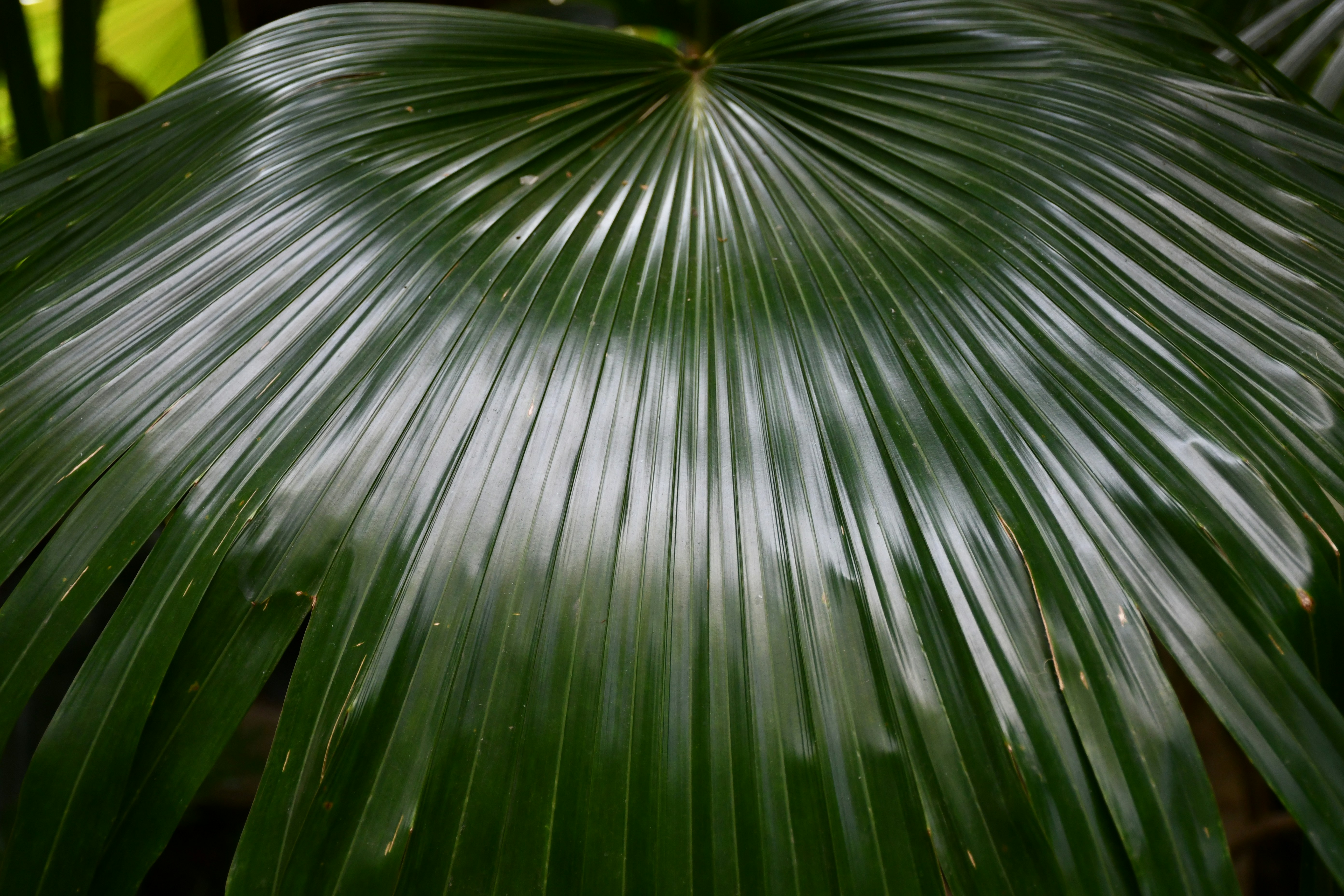 Photo by anna_kharkivska