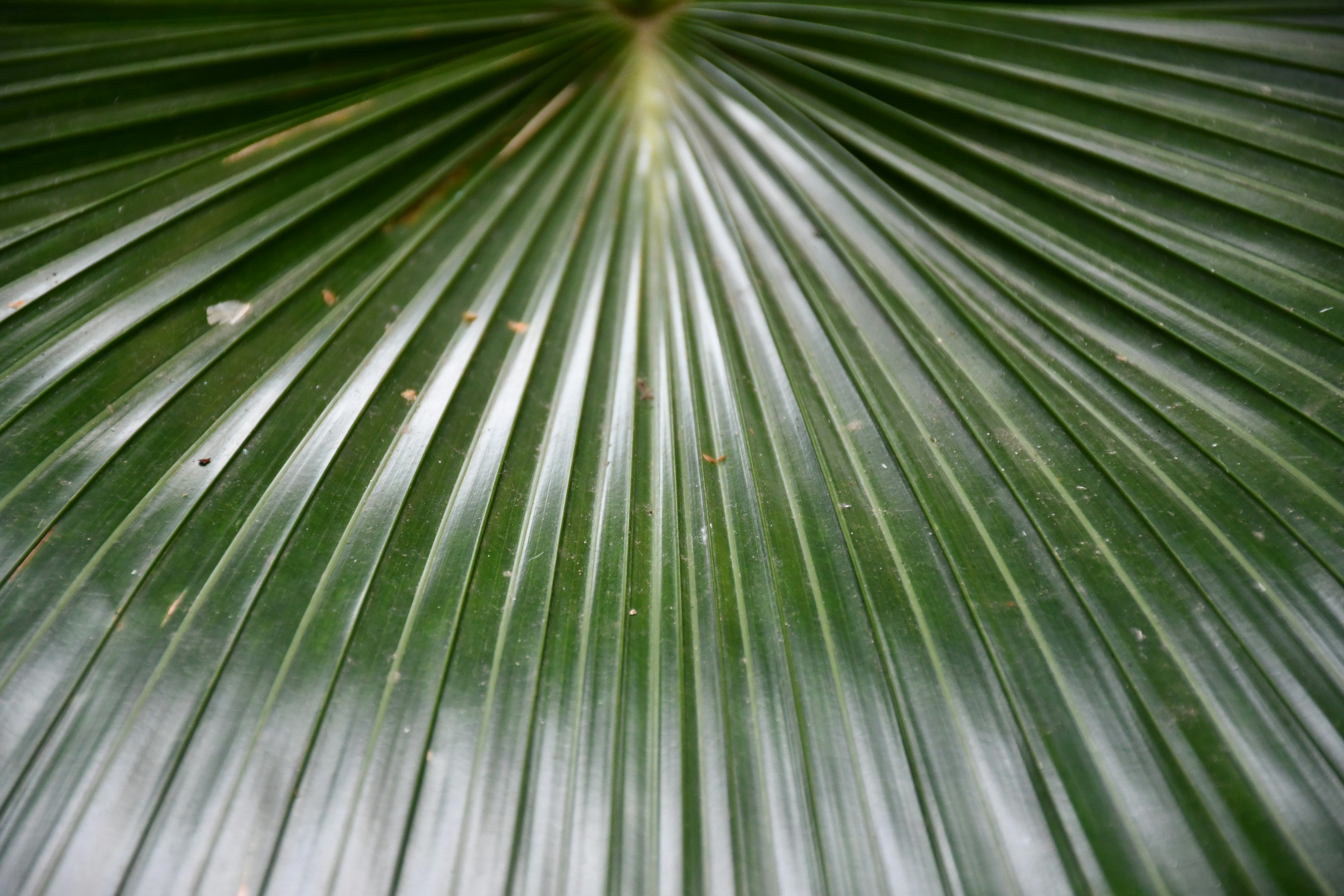 Photo by anna_kharkivska