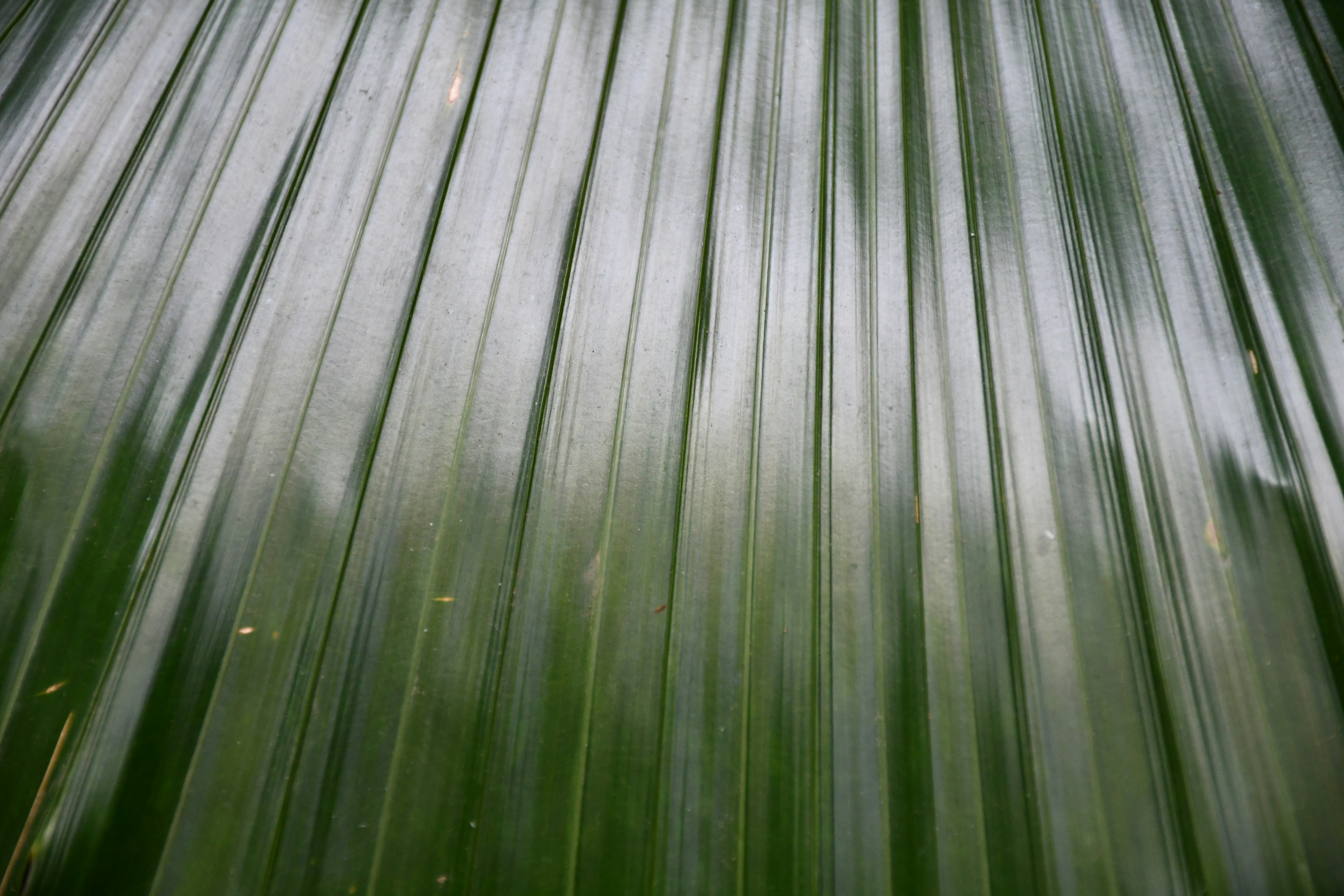 decor image