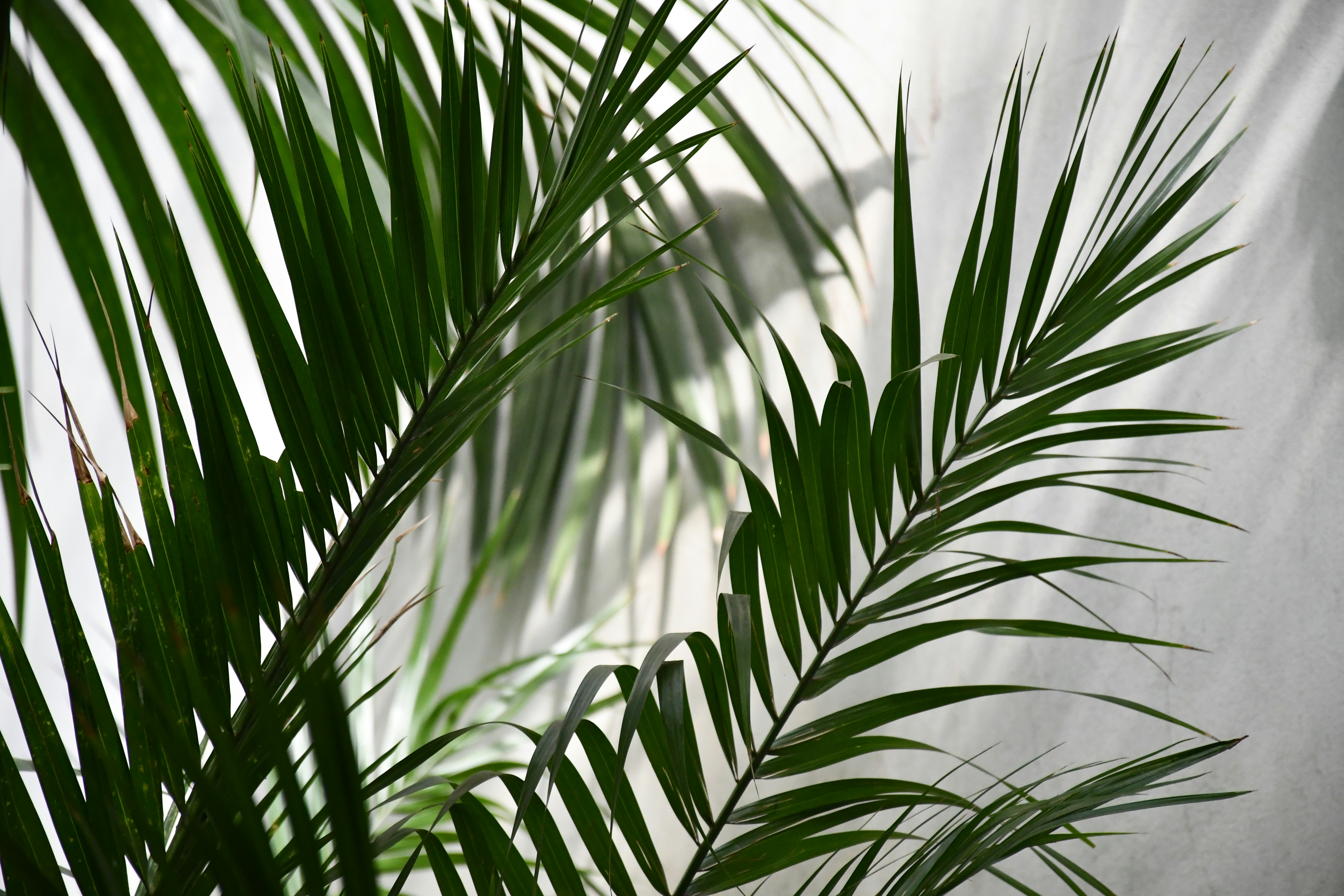 Photo by anna_kharkivska