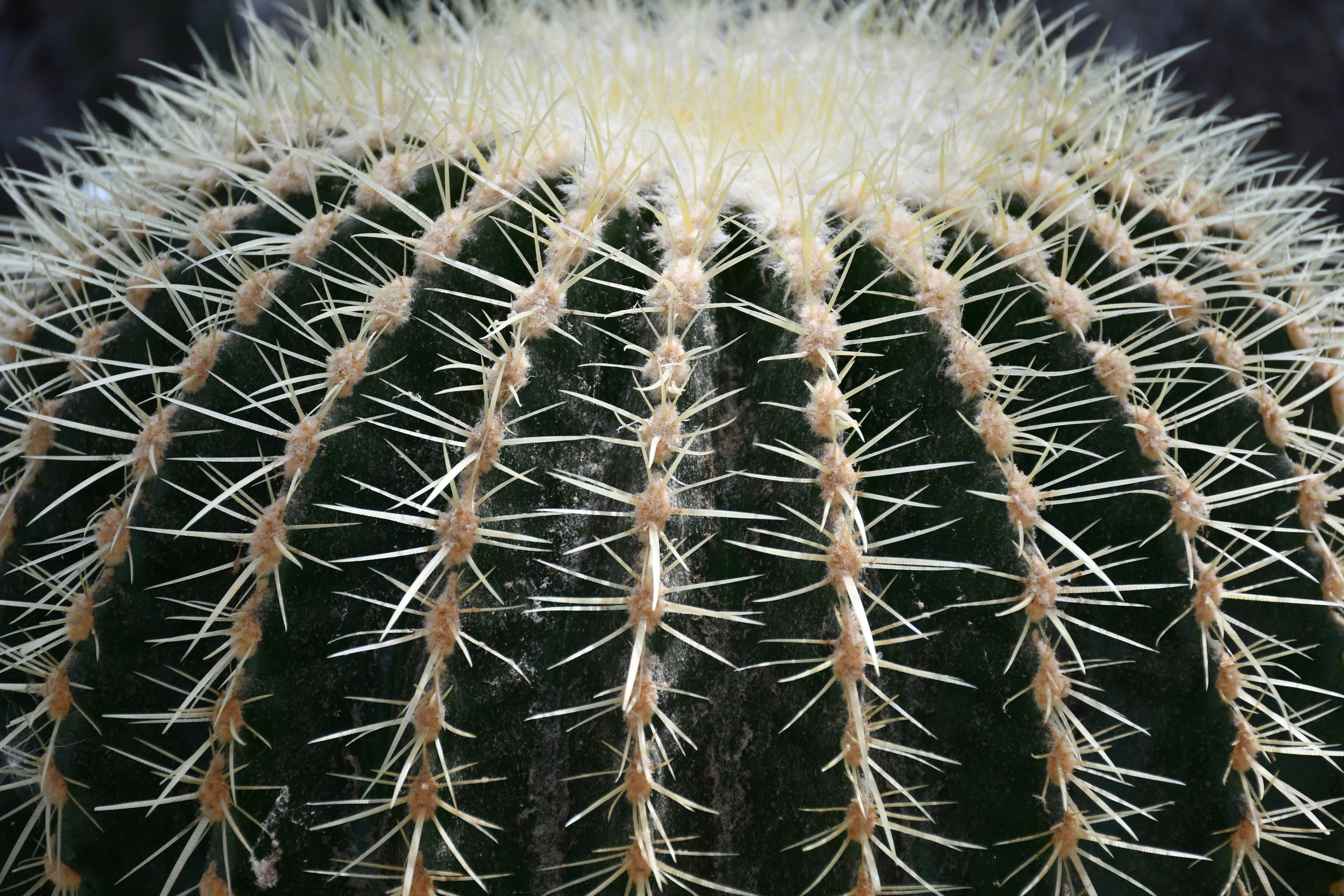 Photo by anna_kharkivska