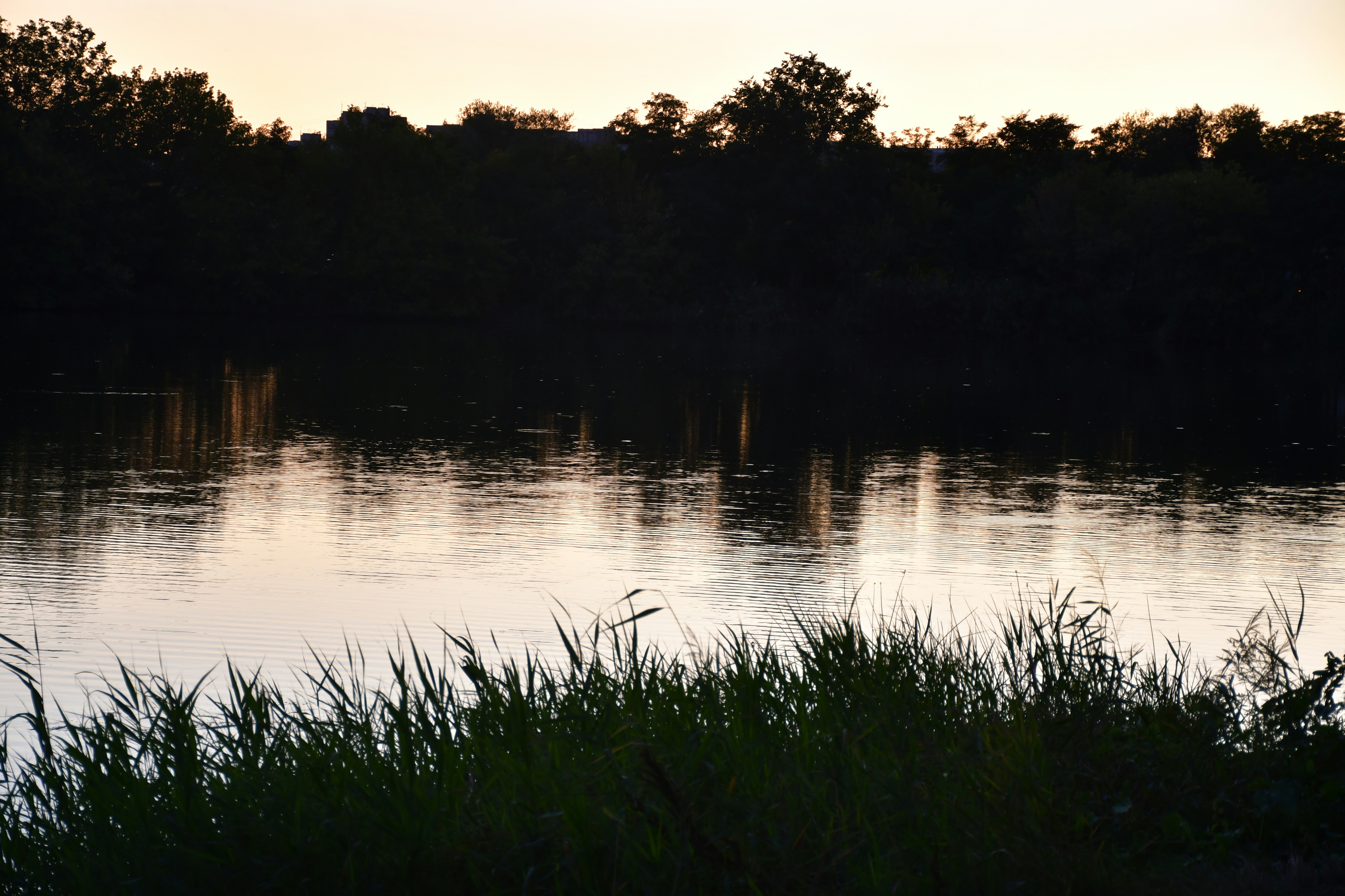 Photo by anna_kharkivska