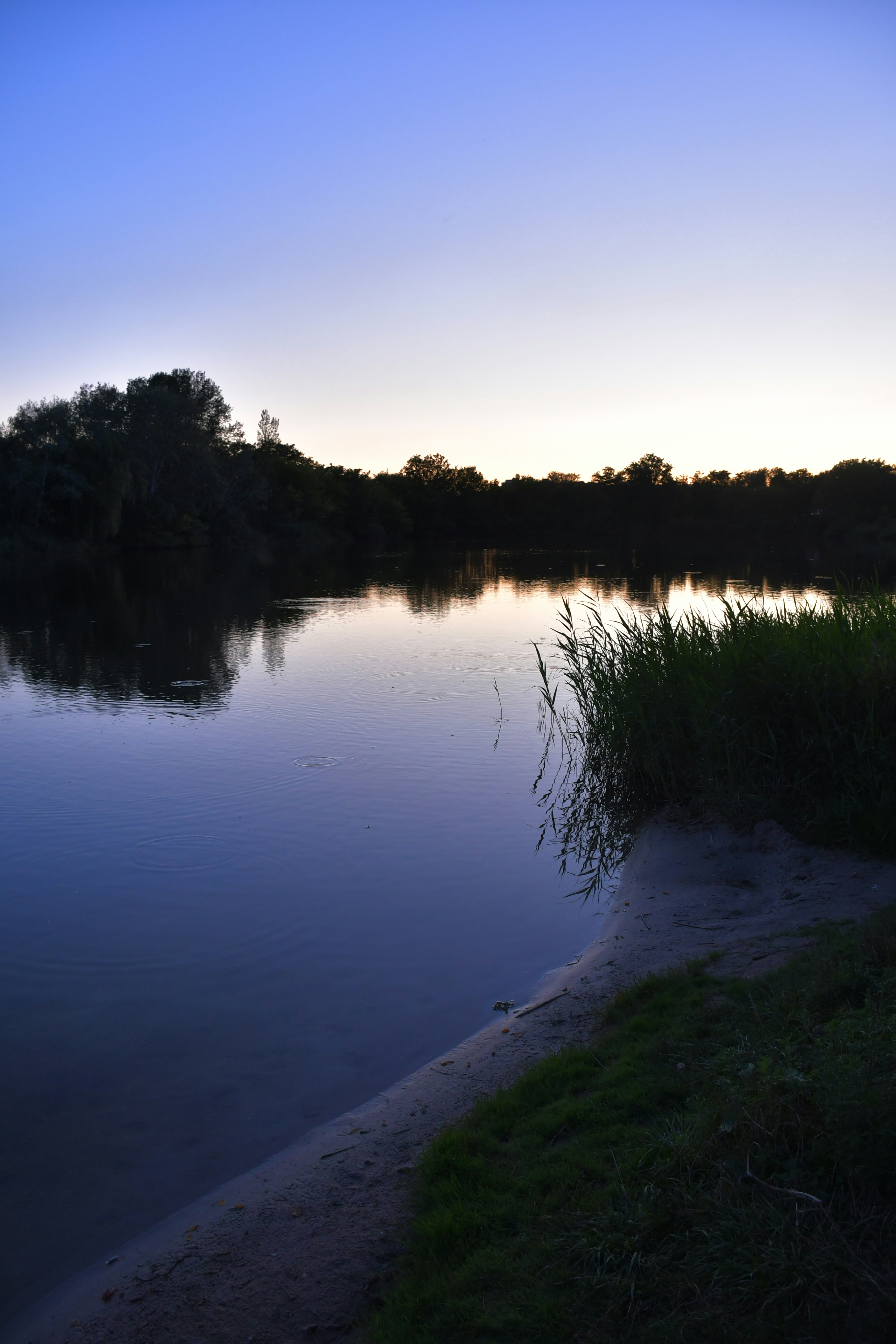 Photo by anna_kharkivska