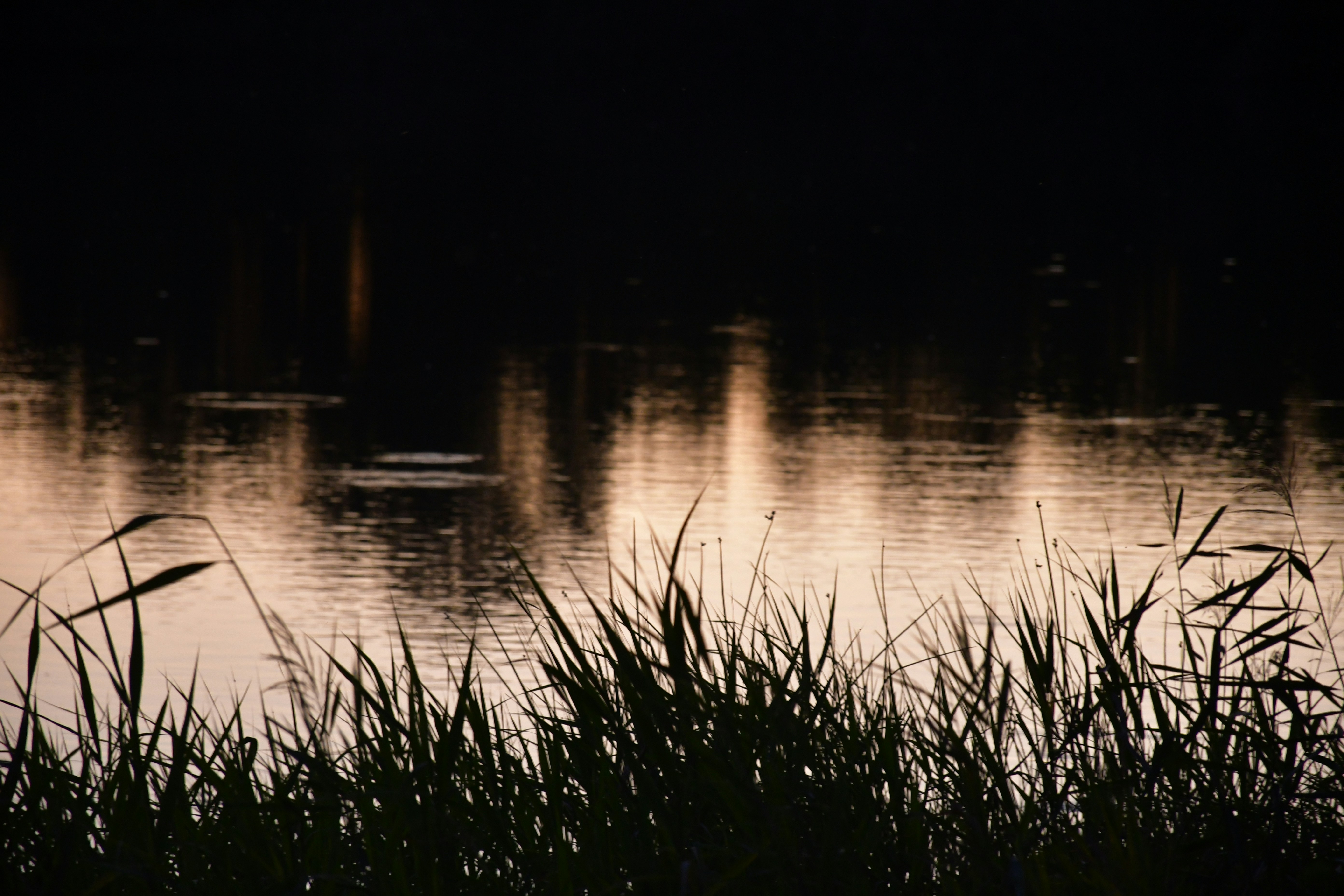 Photo by anna_kharkivska