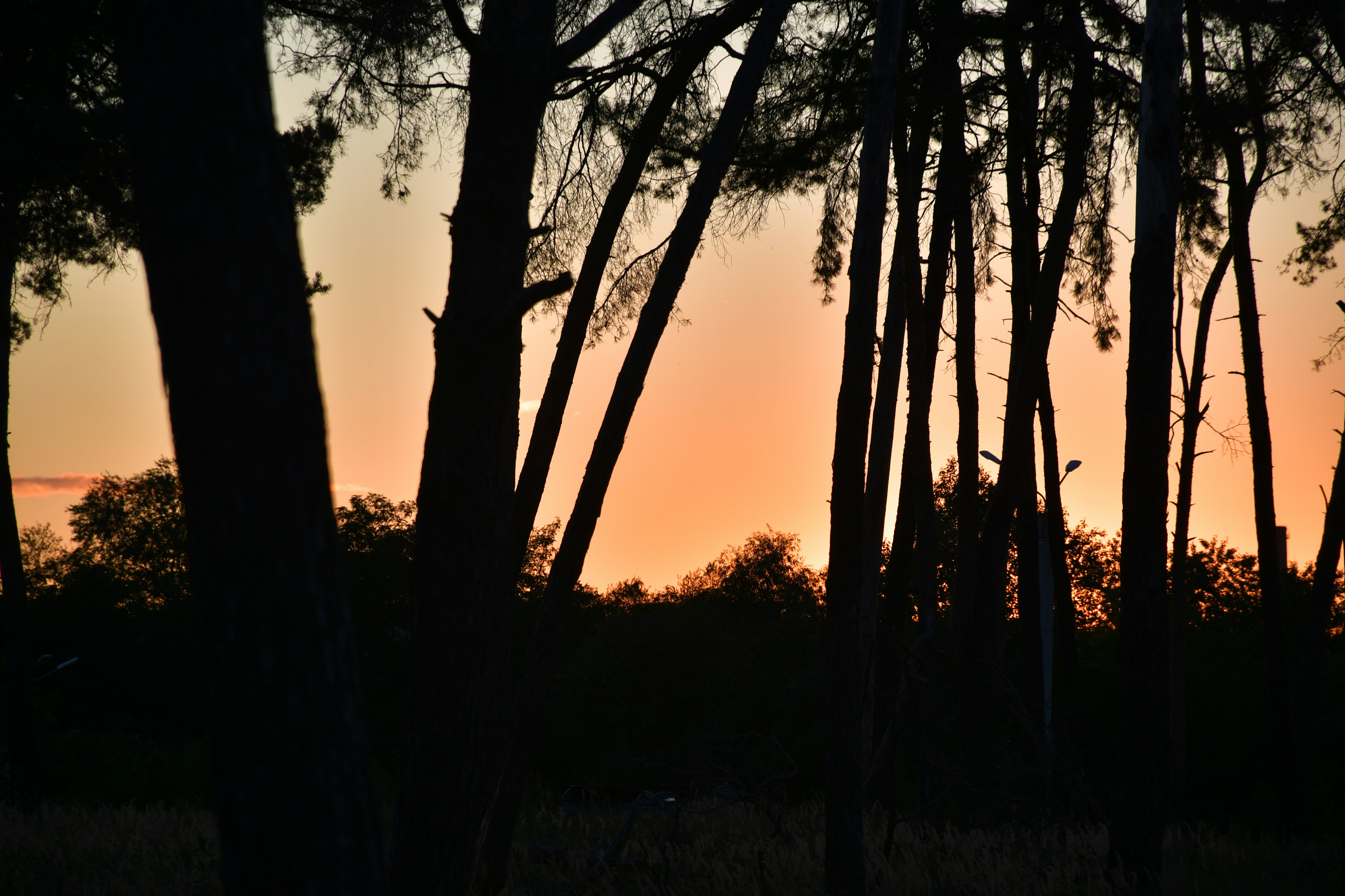 Photo by anna_kharkivska