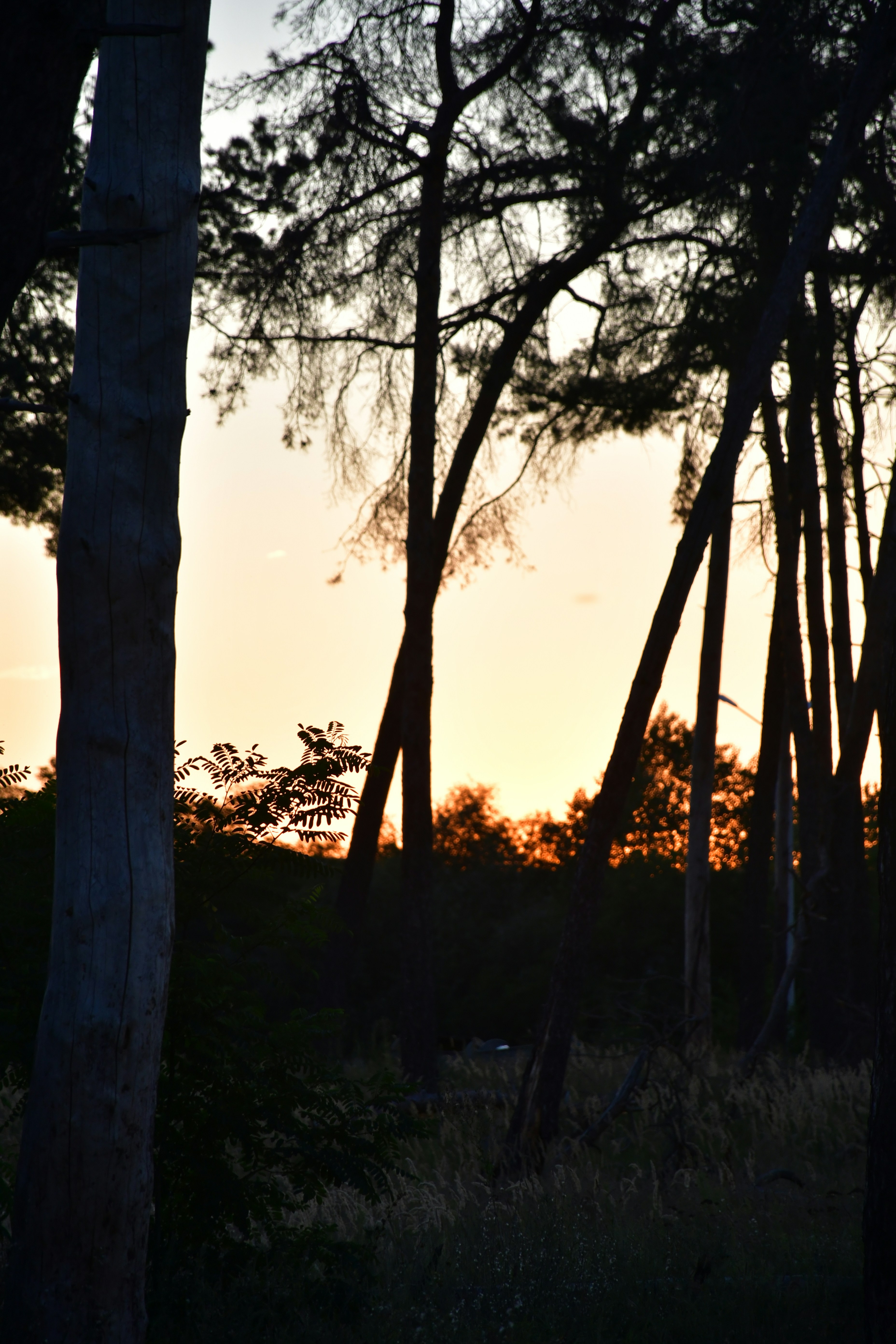 Photo by anna_kharkivska