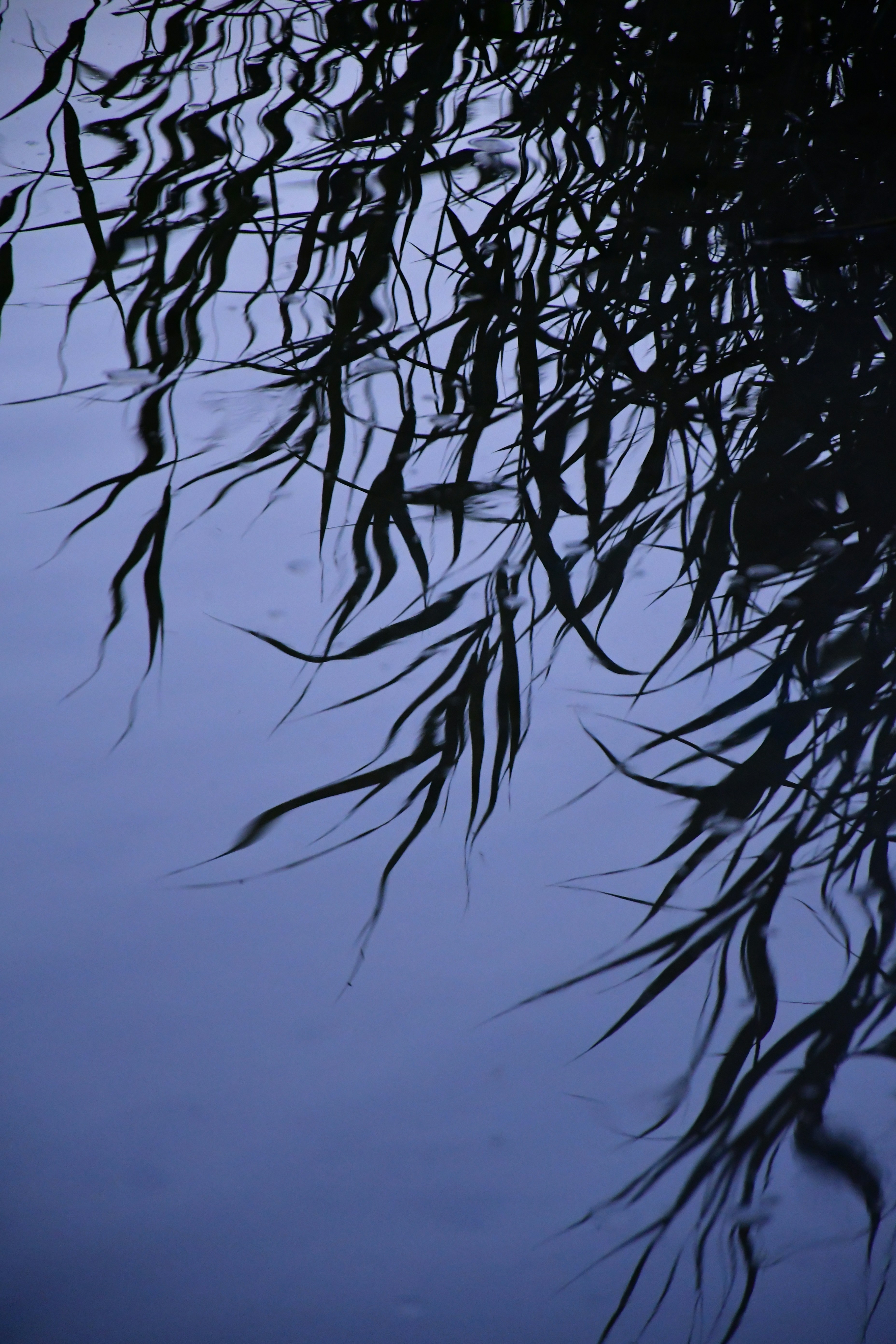 Photo by anna_kharkivska