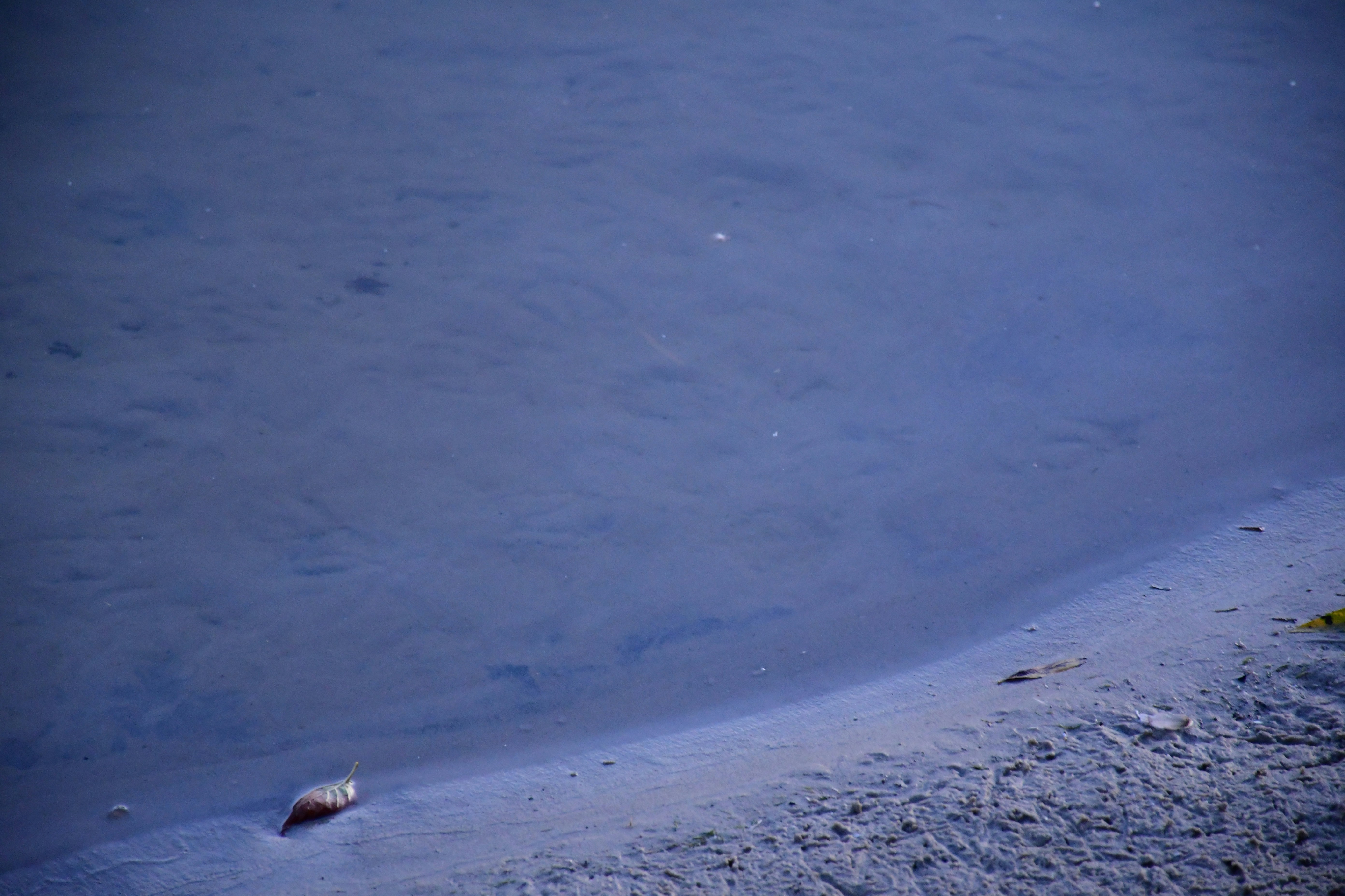 Photo by anna_kharkivska