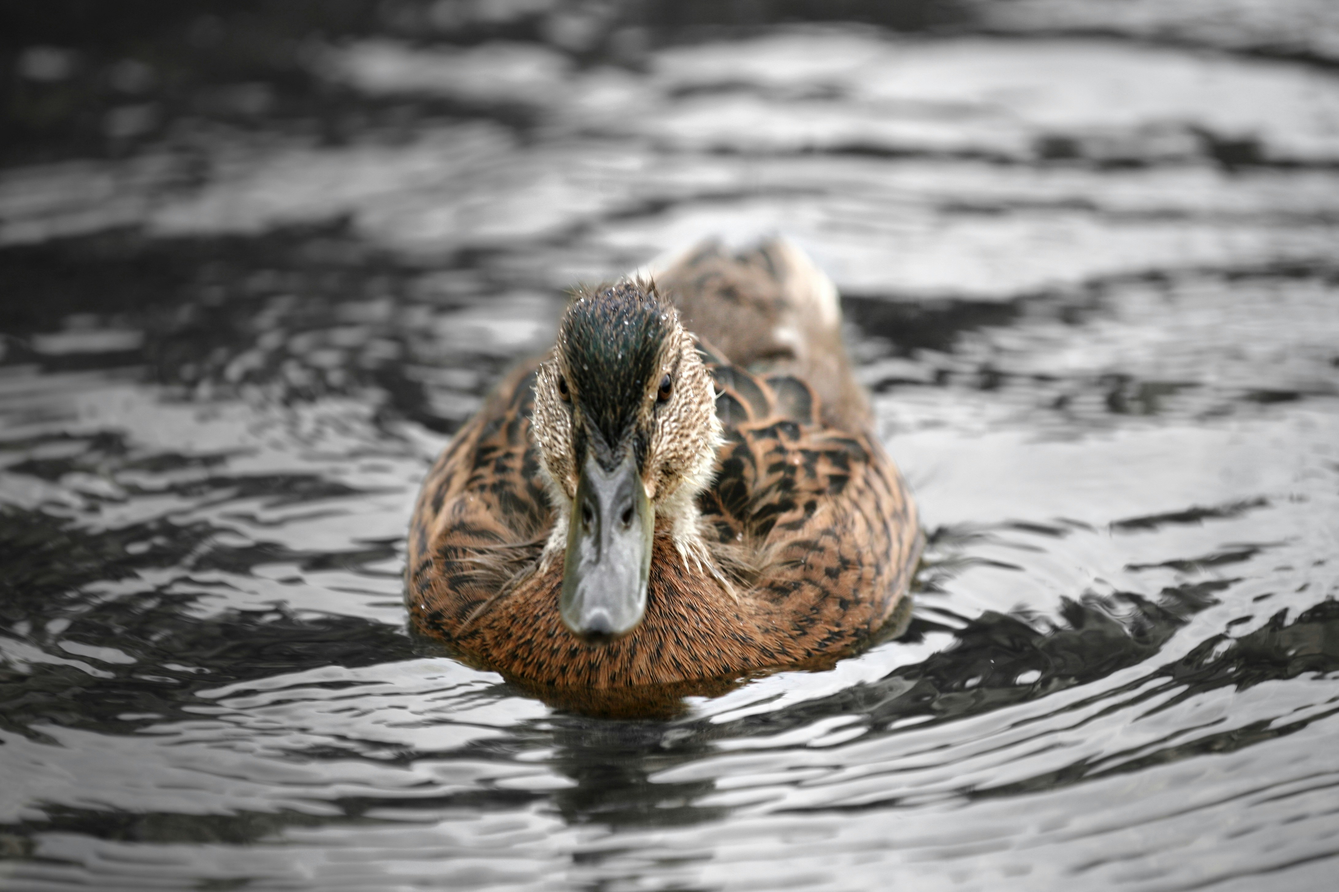 Photo by kristinokarlsen