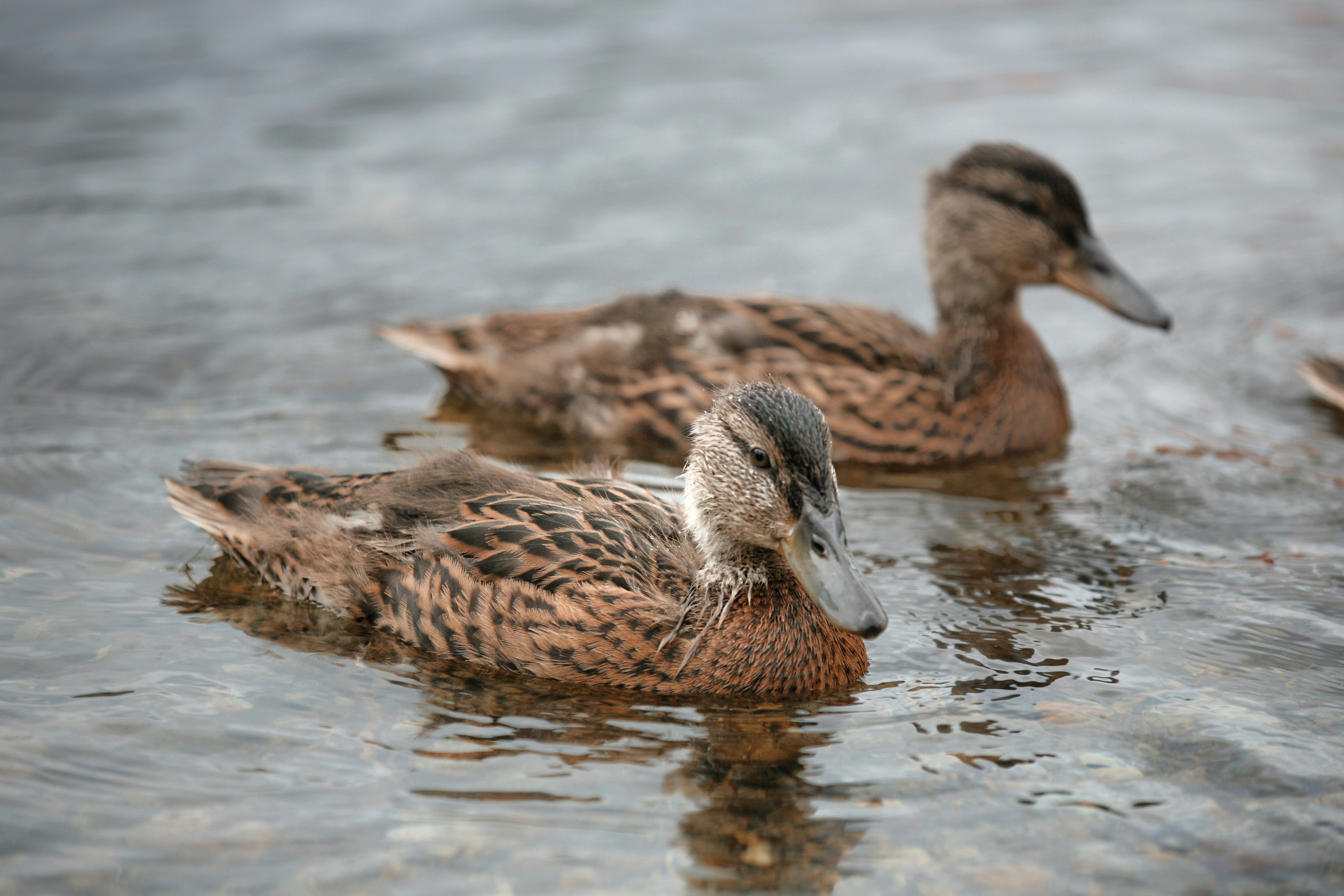 Photo by kristinokarlsen