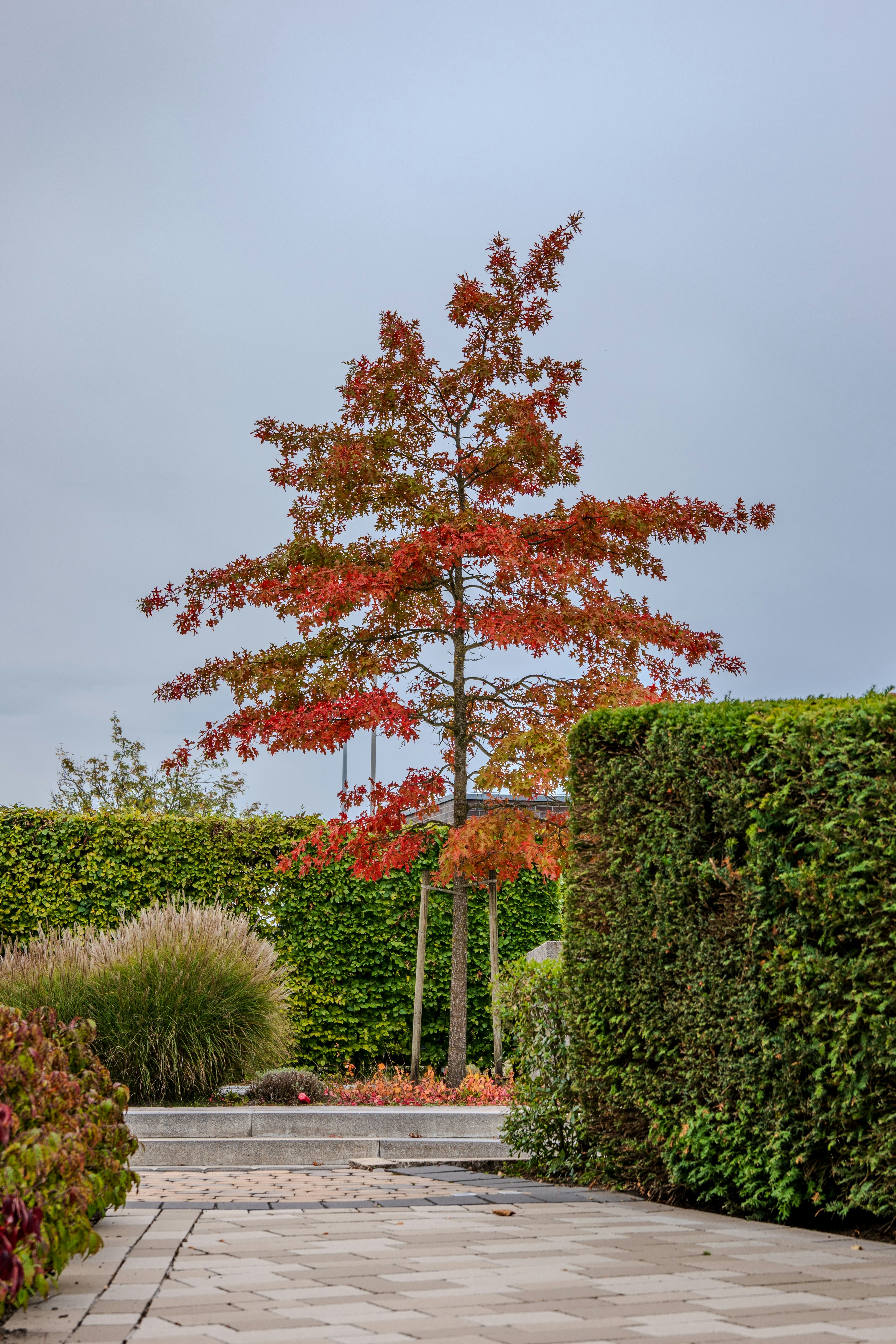 landscaping transformation