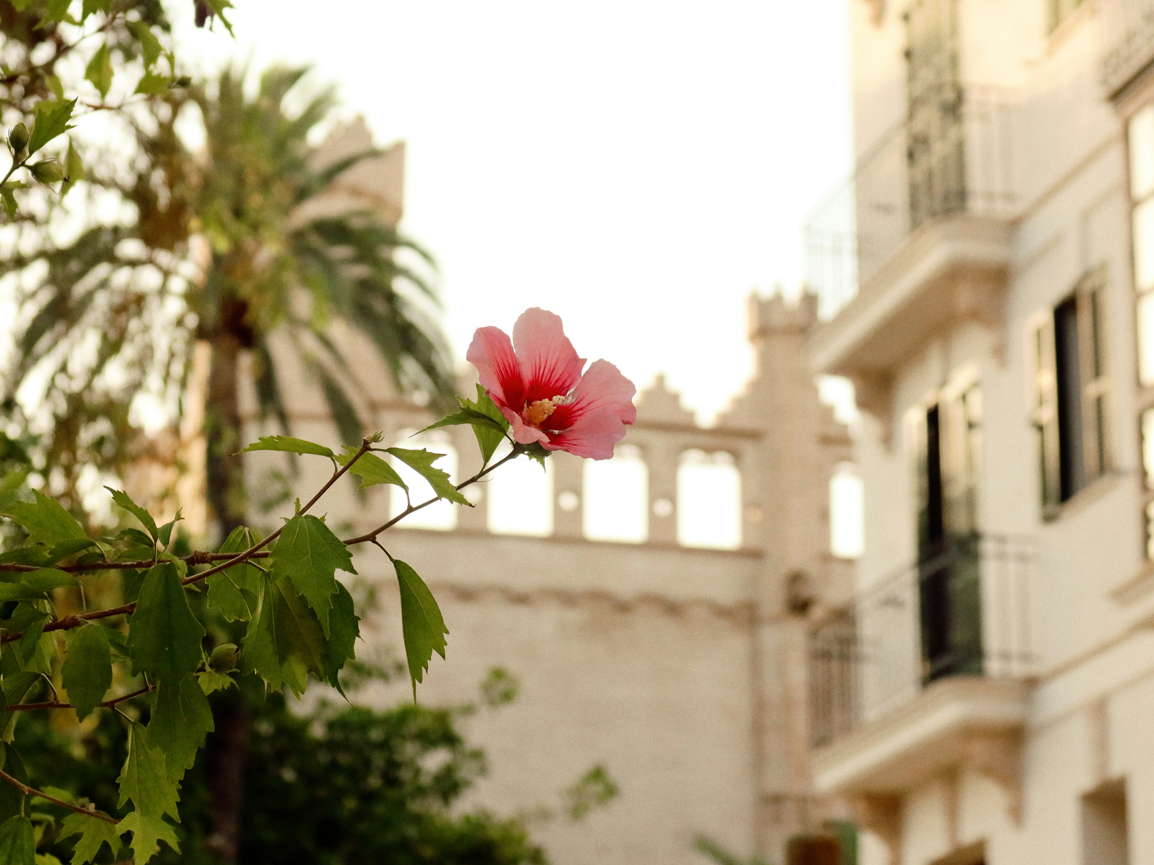 Photo by createdbydaniii